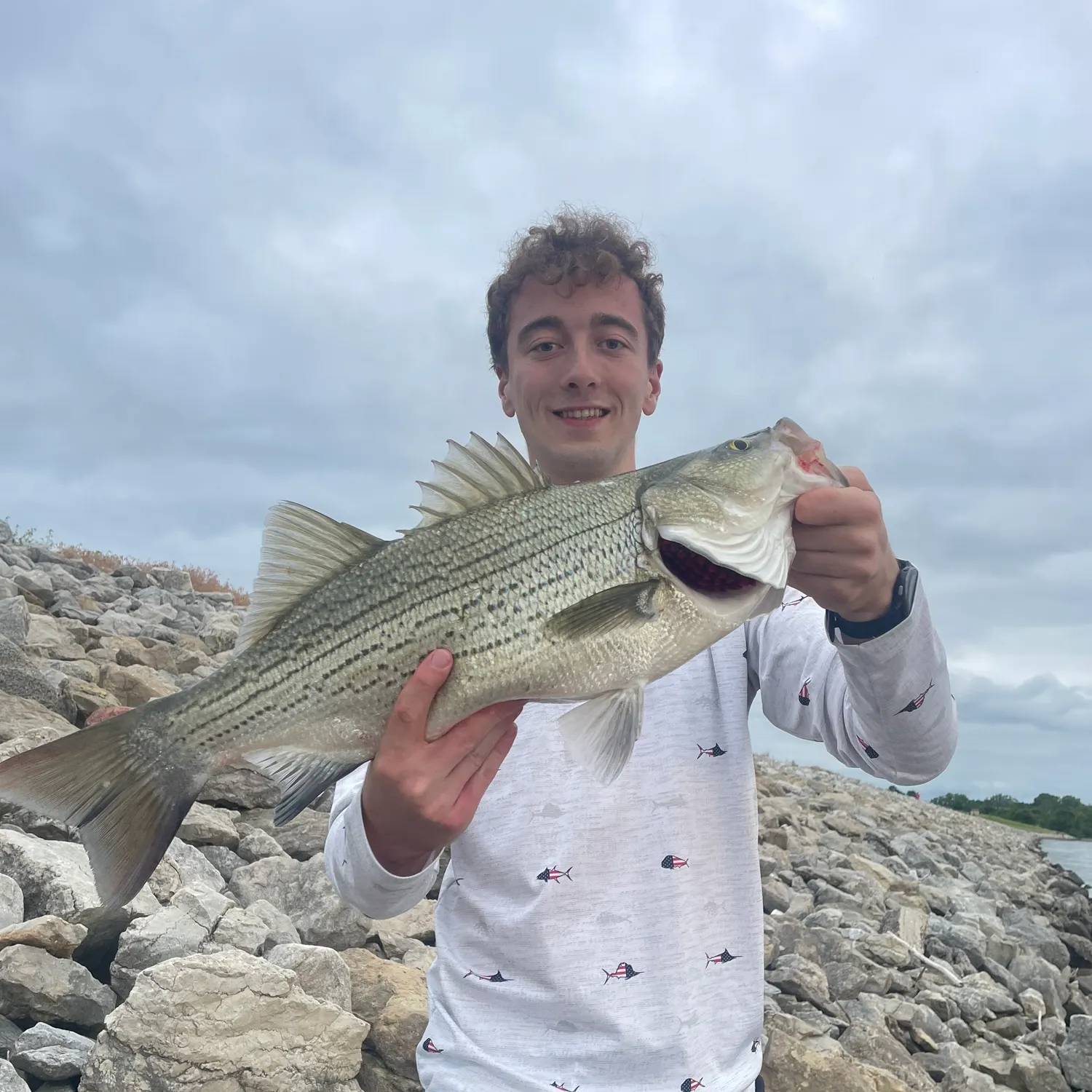 The most recent Hybrid striped bass catches on Fishbrain