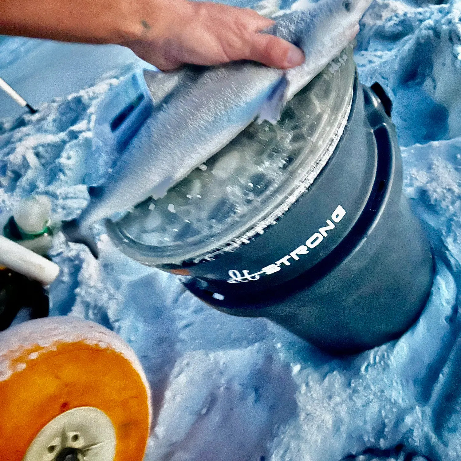 Blacktip shark caught on Fishbrain