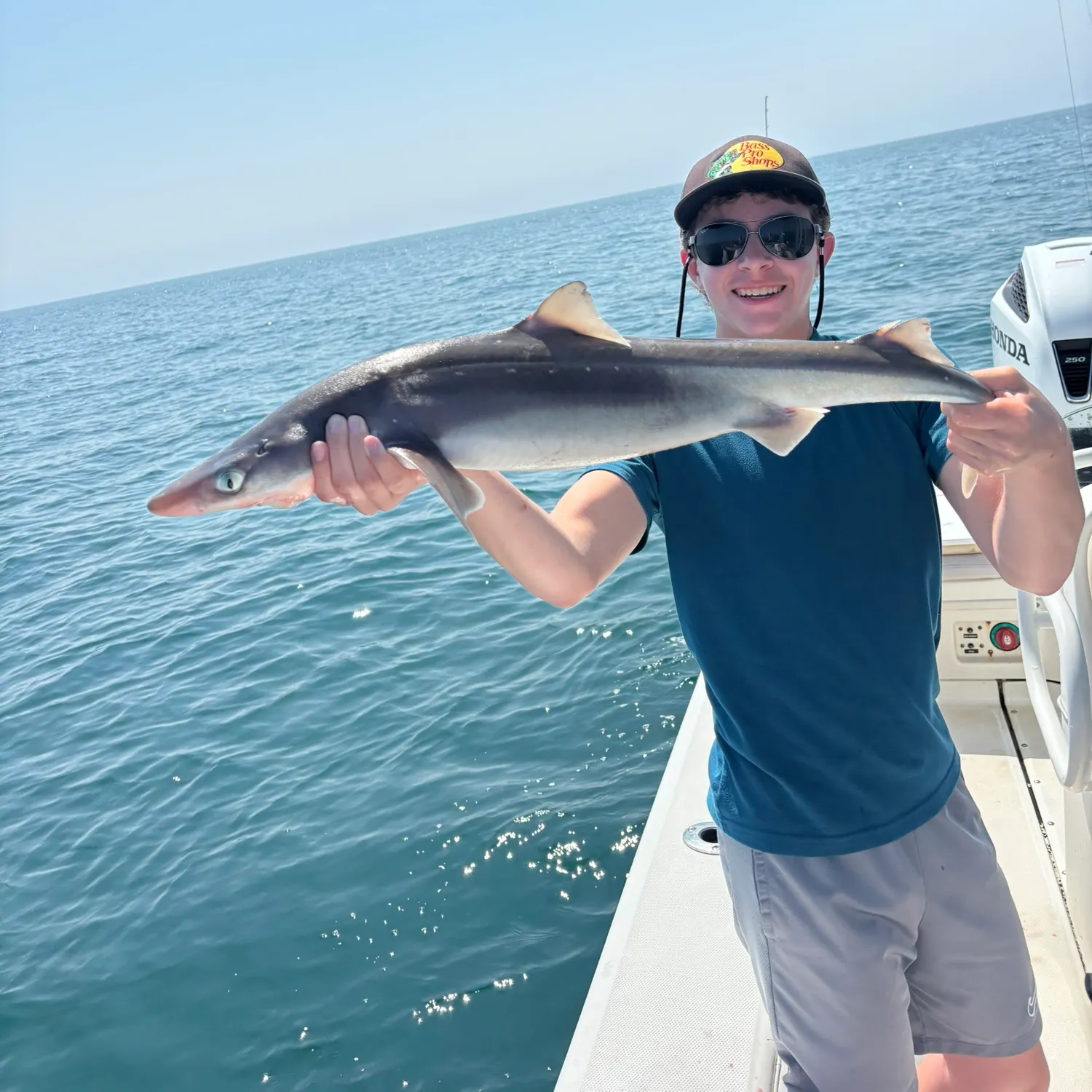 The most recent Piked dogfish catches on Fishbrain