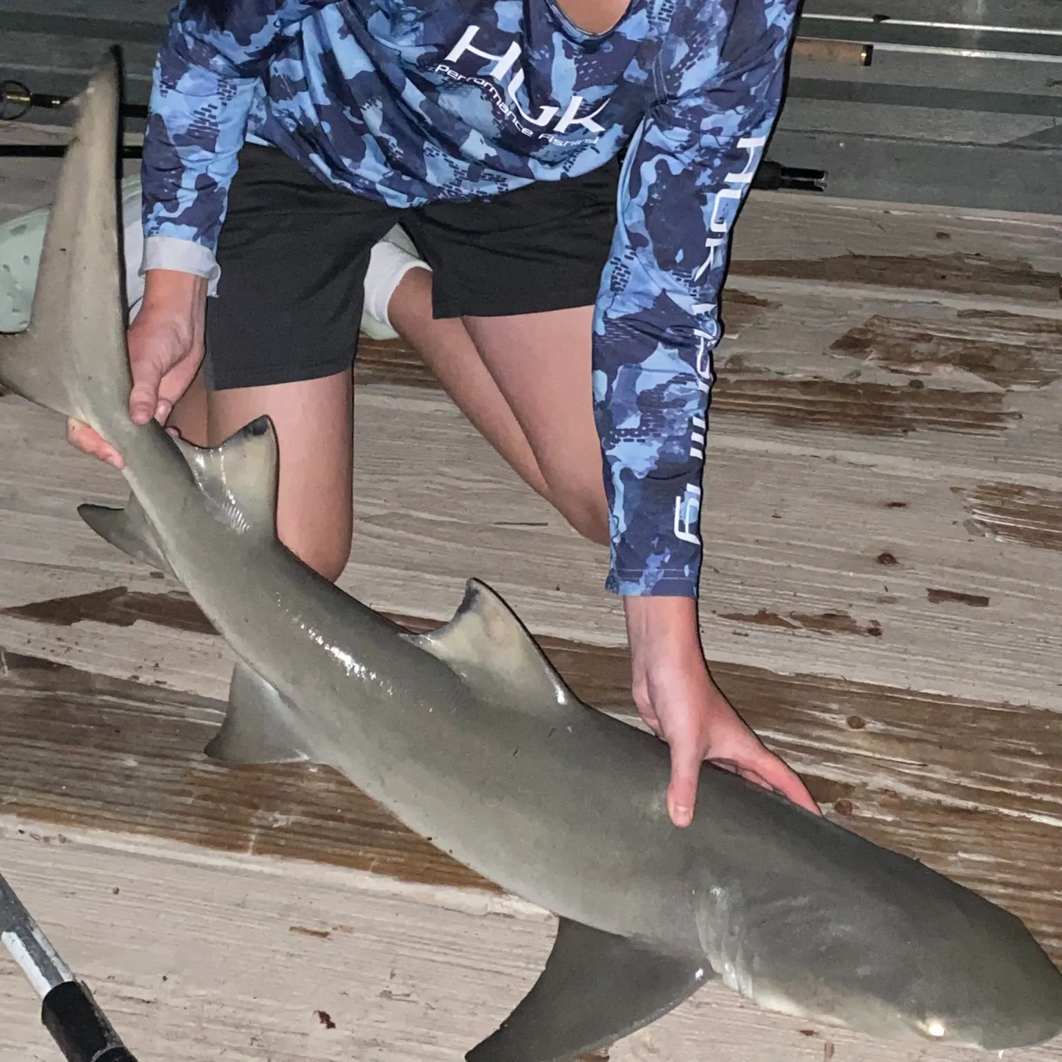 The most recent Blacktip shark catches on Fishbrain