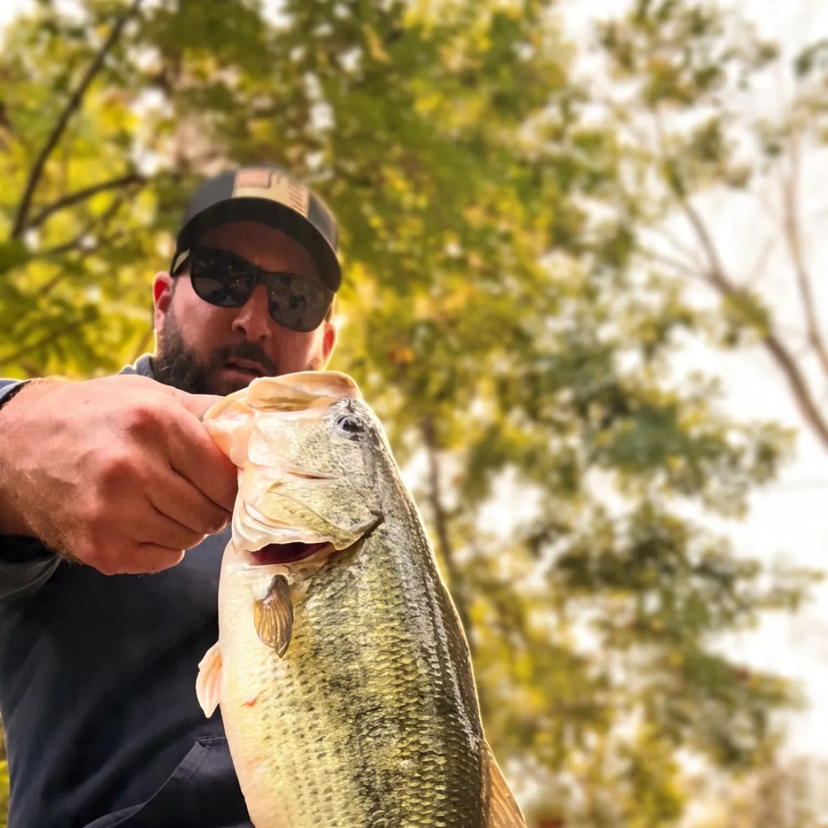 Largemouth bass caught on Fishbrain