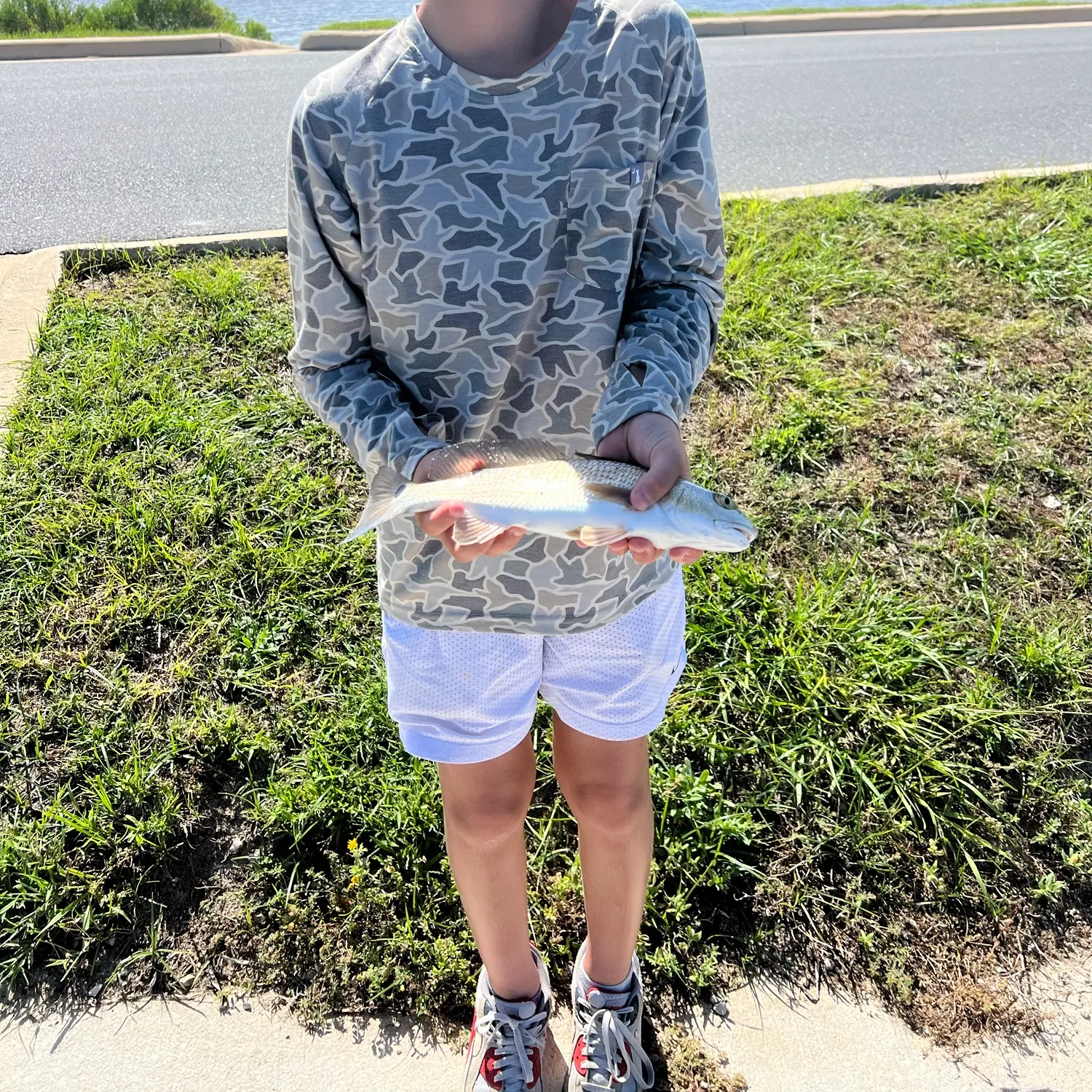 The most recent Red drum catches on Fishbrain