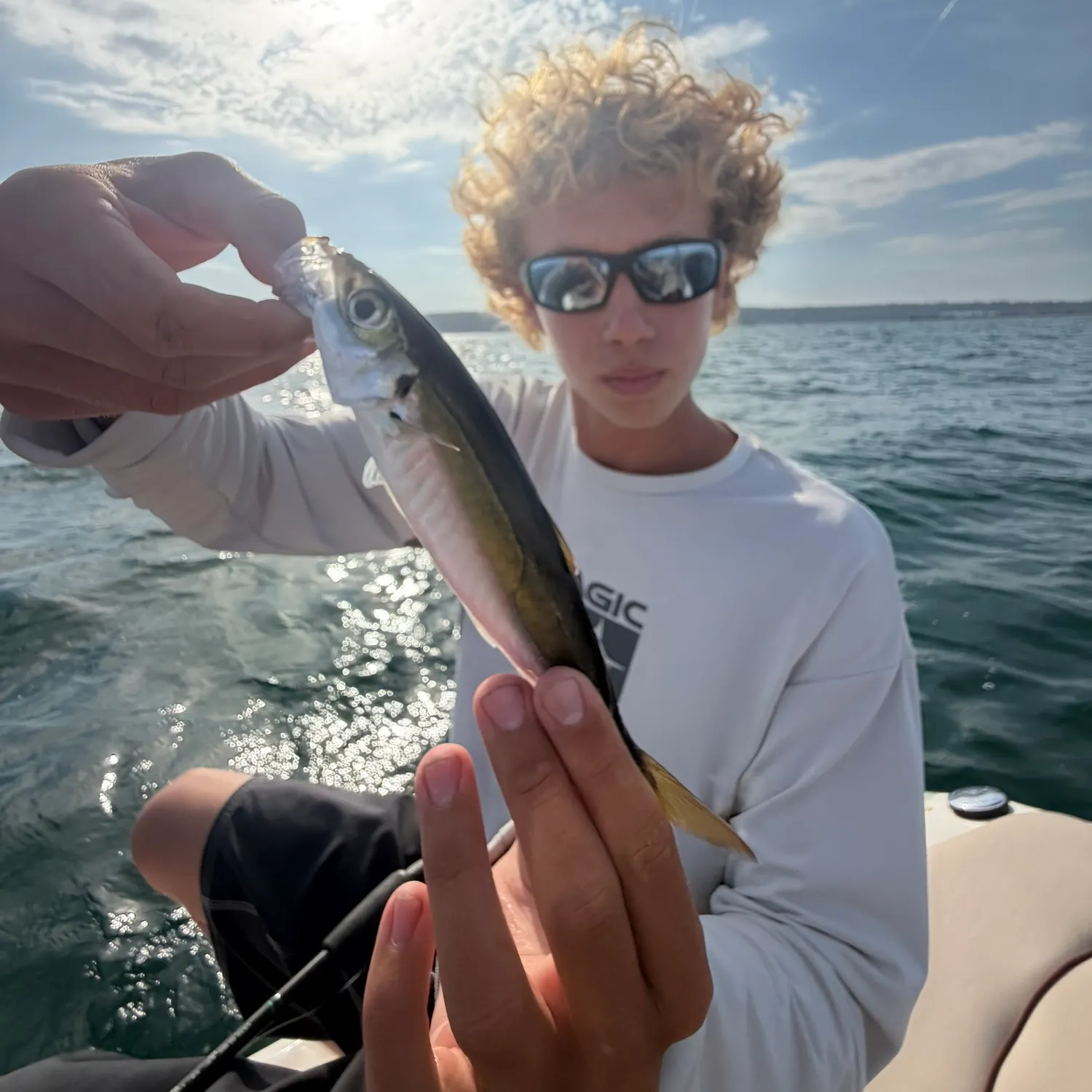The most recent Pacific jack mackerel catches on Fishbrain