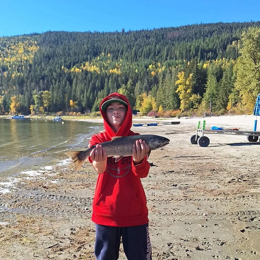 Steelhead caught on Fishbrain