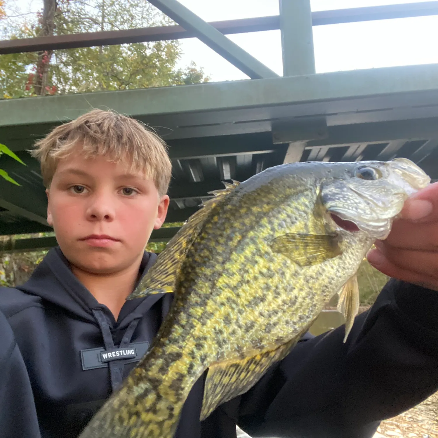 Black crappie caught on Fishbrain
