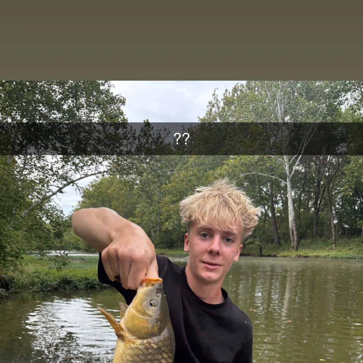 Common carp caught on Fishbrain