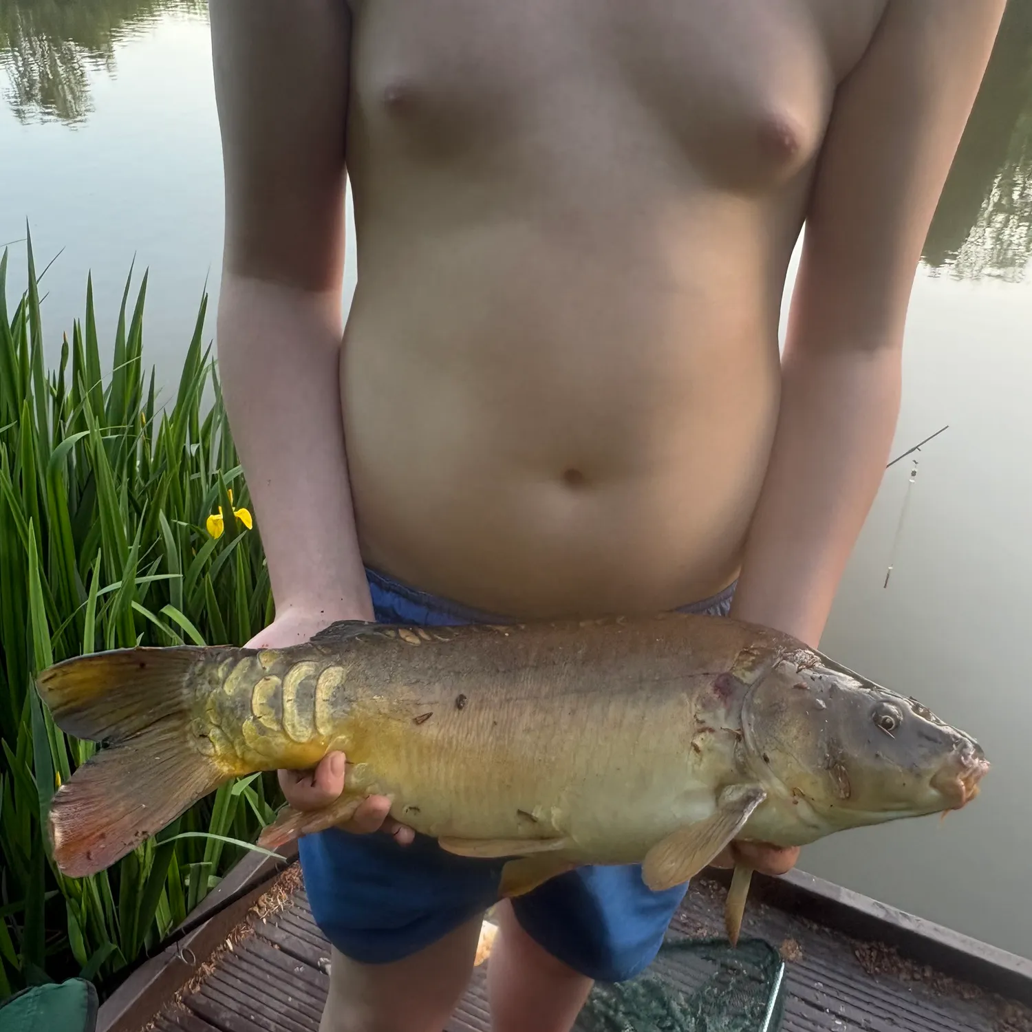 Leather carp caught on Fishbrain