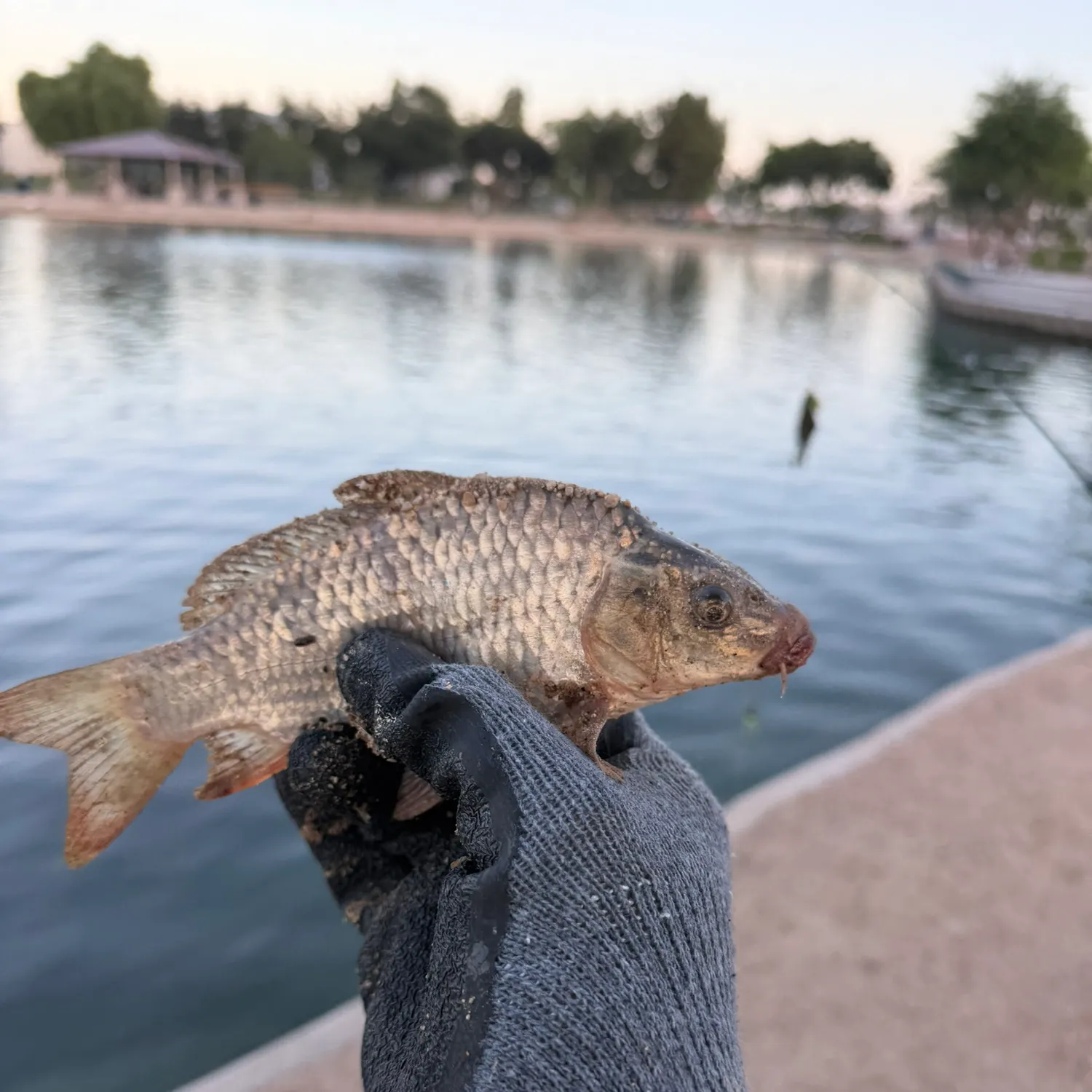 catch