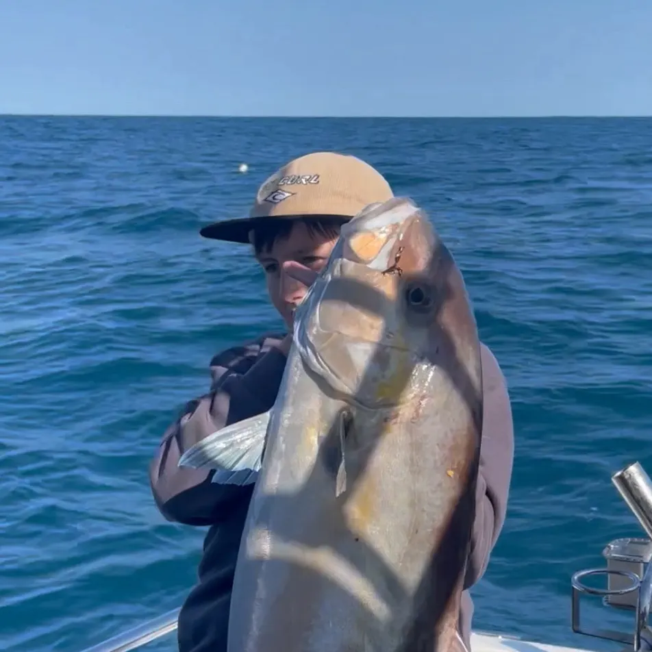 The most recent Samsonfish catches on Fishbrain