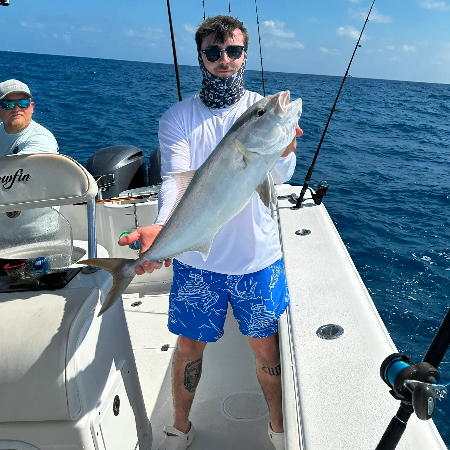 The most recent Greater amberjack catches on Fishbrain
