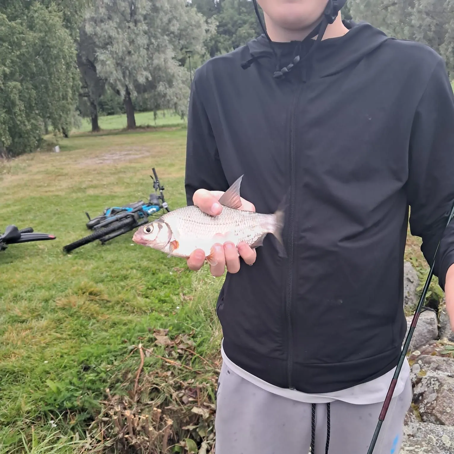 White bream caught on Fishbrain