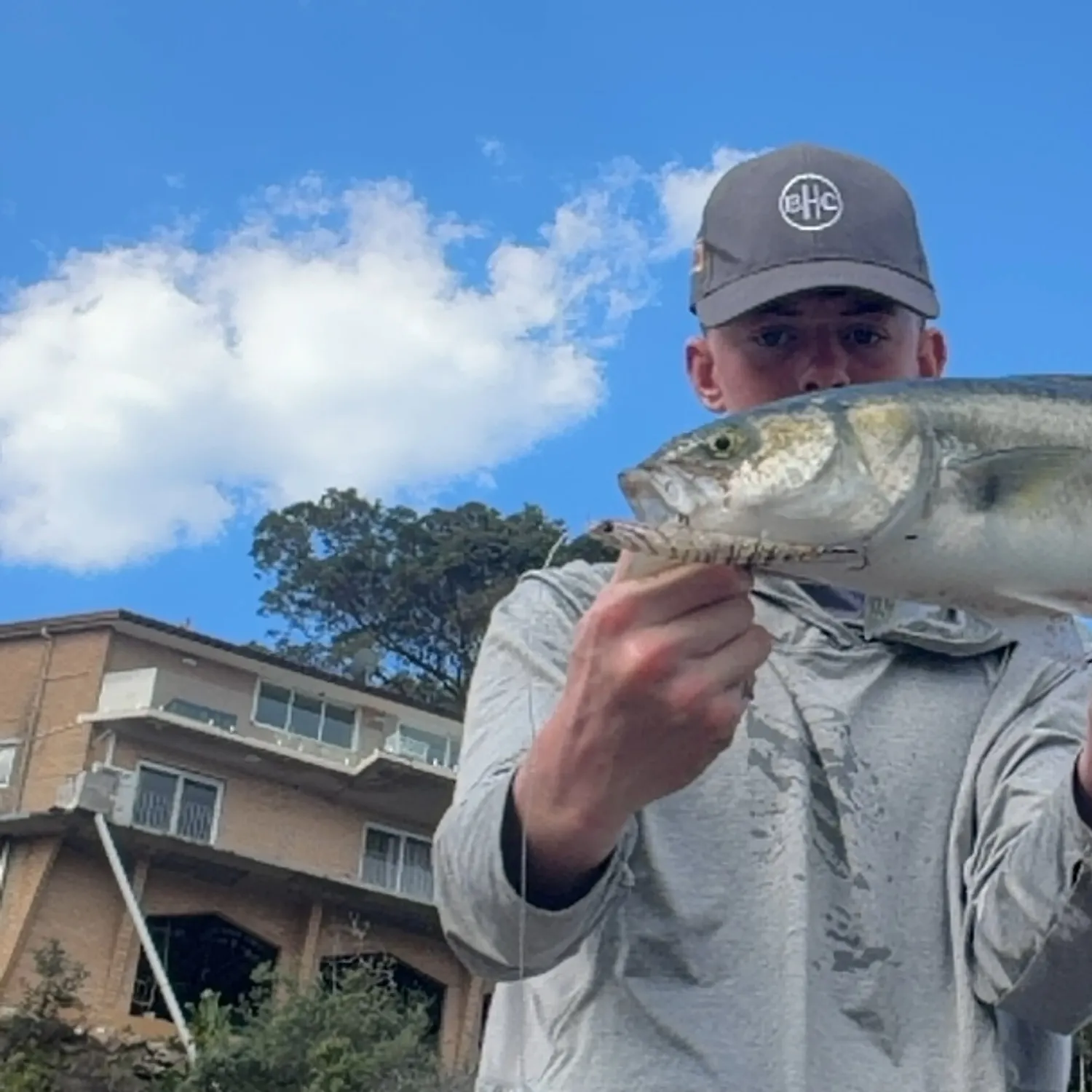 Eastern Australian salmon caught on Fishbrain