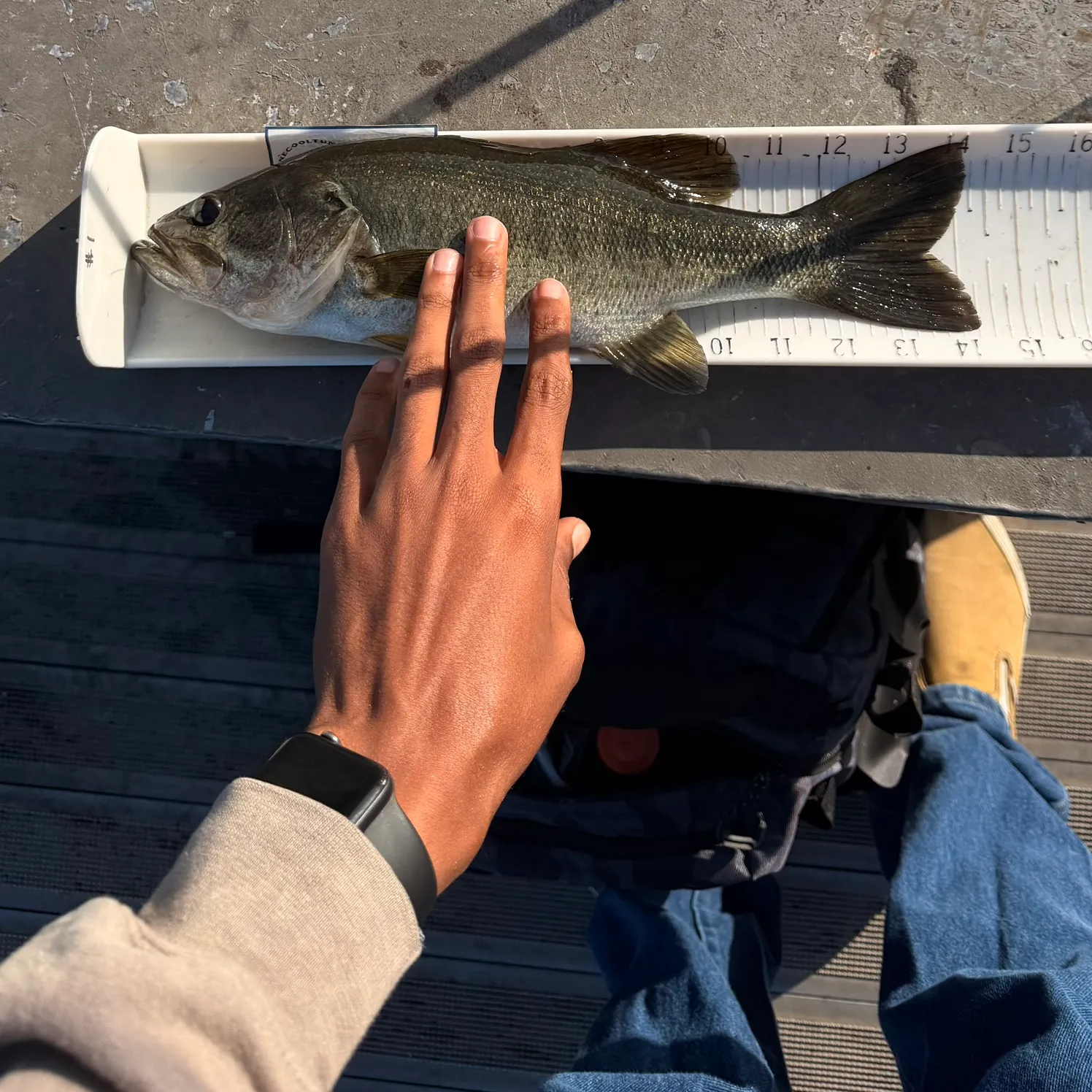 catch