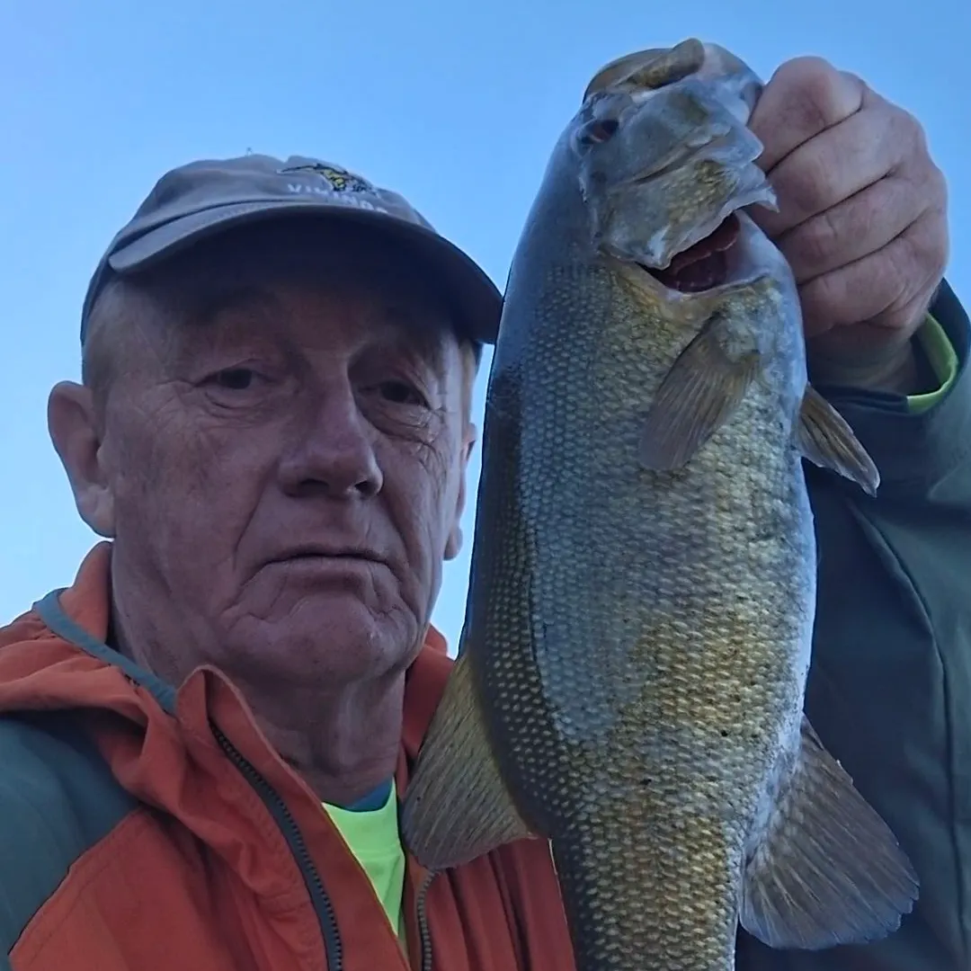 Smallmouth bass caught on Fishbrain