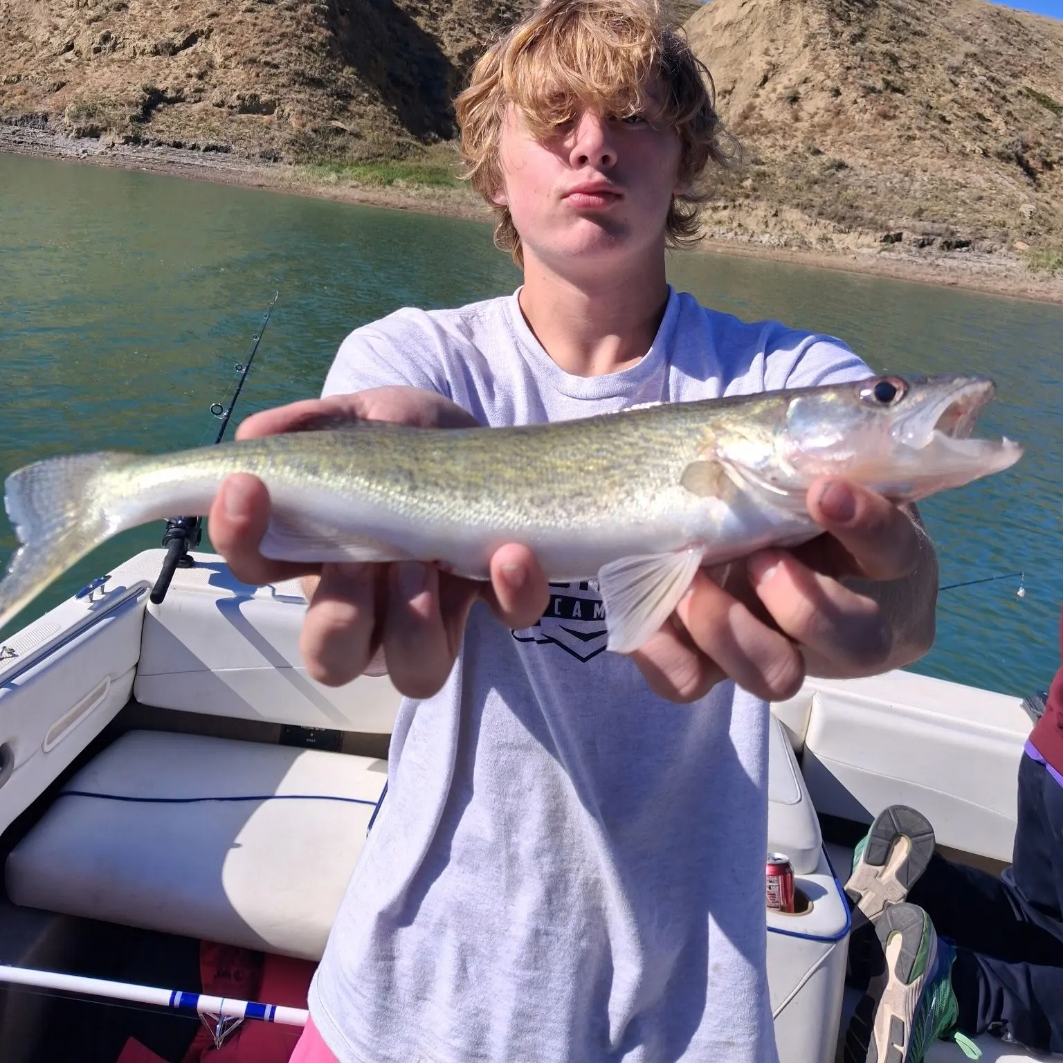 Walleye caught on Fishbrain