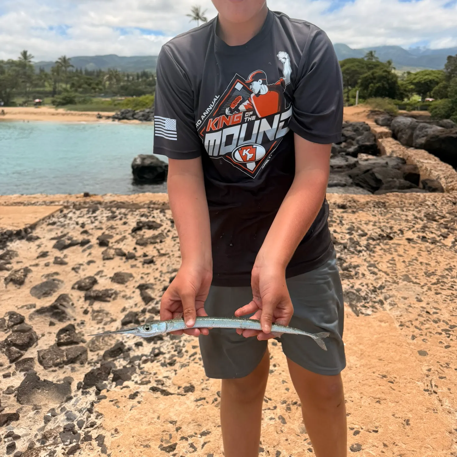 The most recent Keeled needlefish catches on Fishbrain