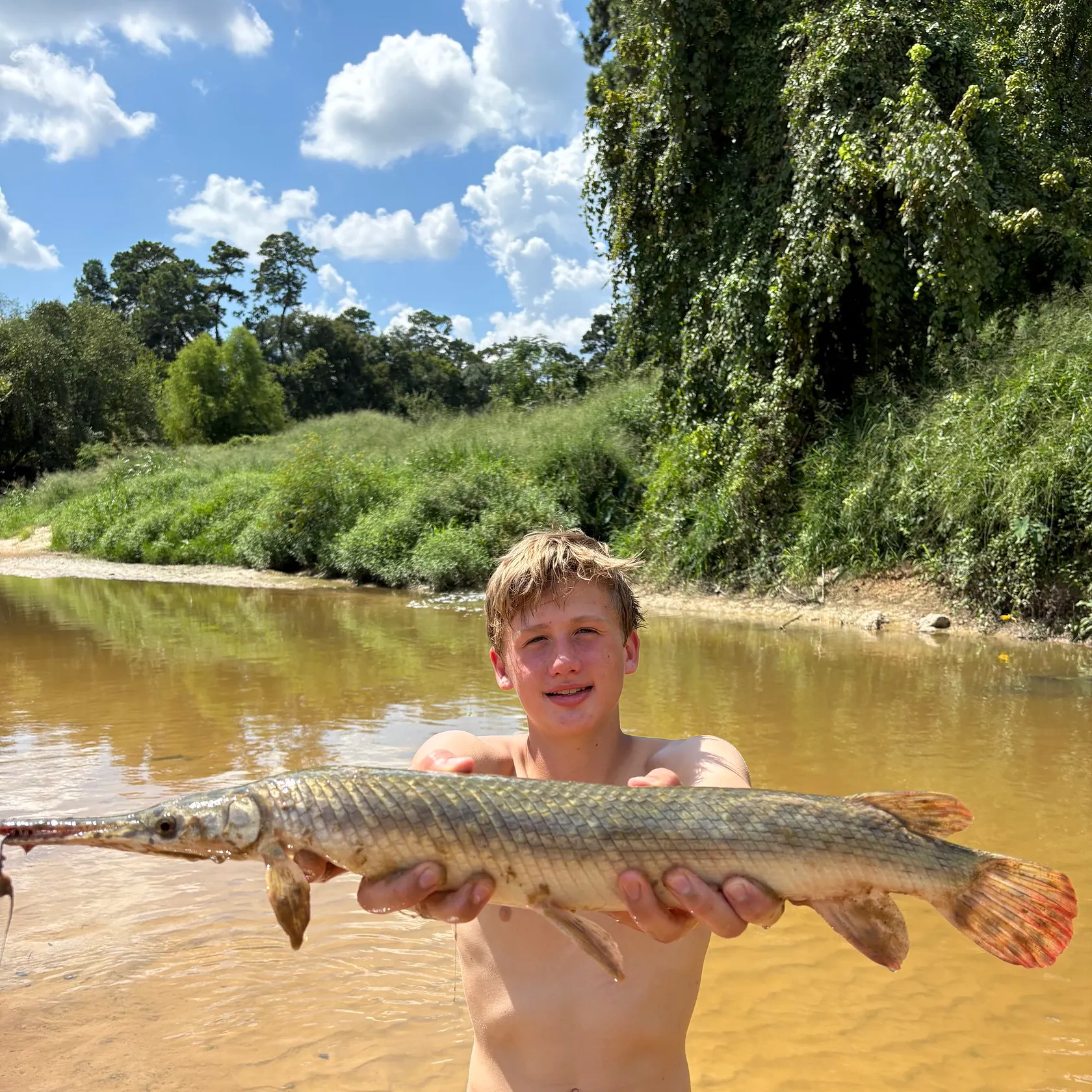 Shortnose gar caught on Fishbrain
