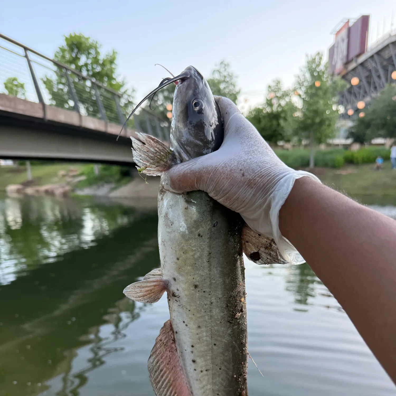 catch