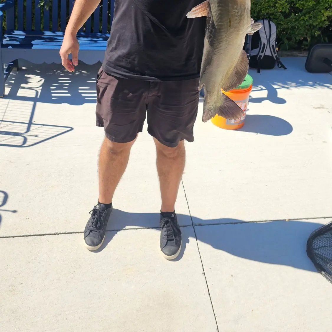 Channel catfish caught on Fishbrain