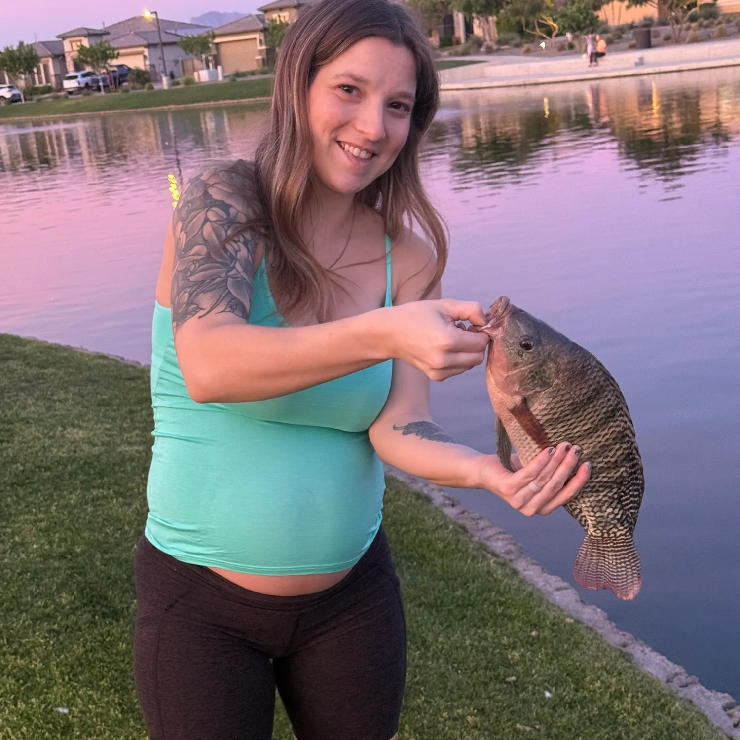 The most recent Nile tilapia catches on Fishbrain