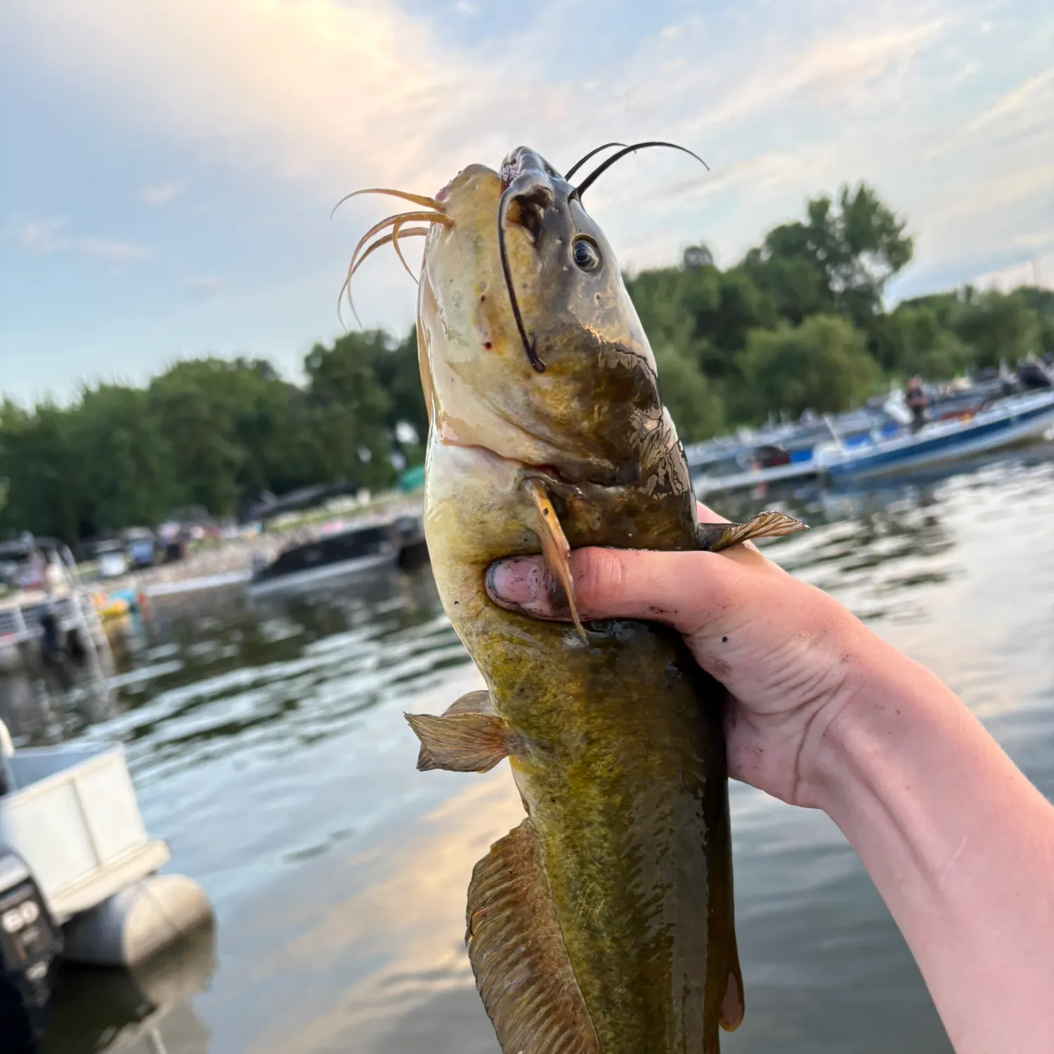 catch