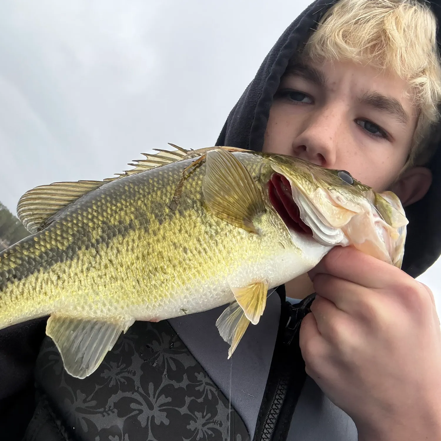 Largemouth bass caught on Fishbrain