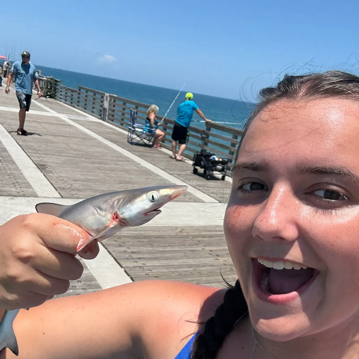 The most recent Blacktip reef shark catches on Fishbrain
