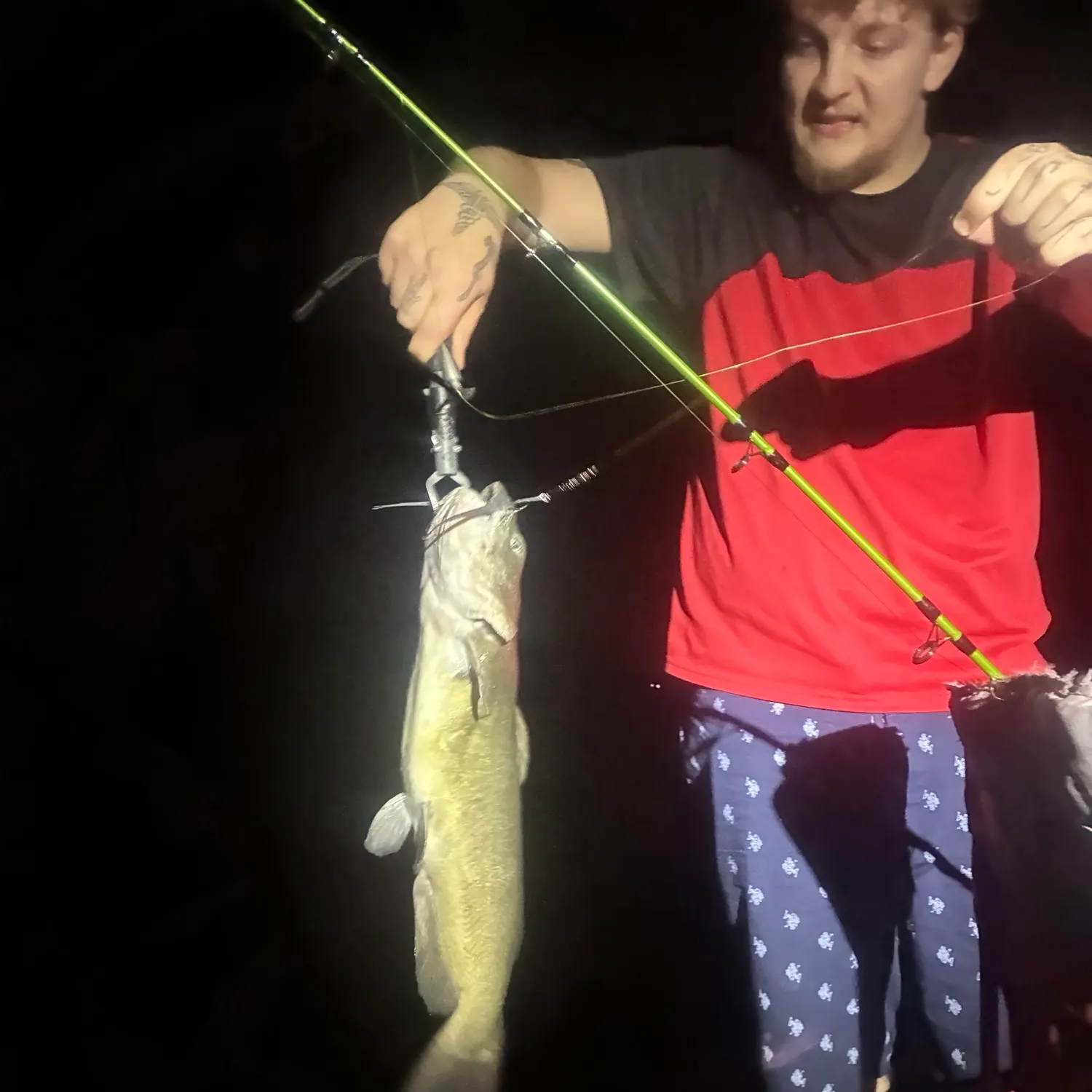 recently logged catches