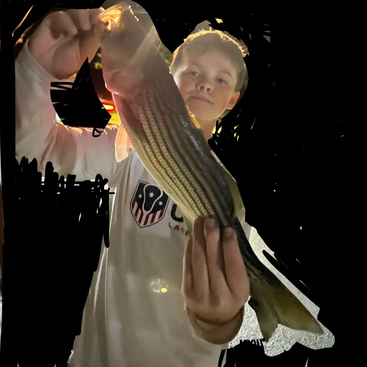 Striped bass caught on Fishbrain