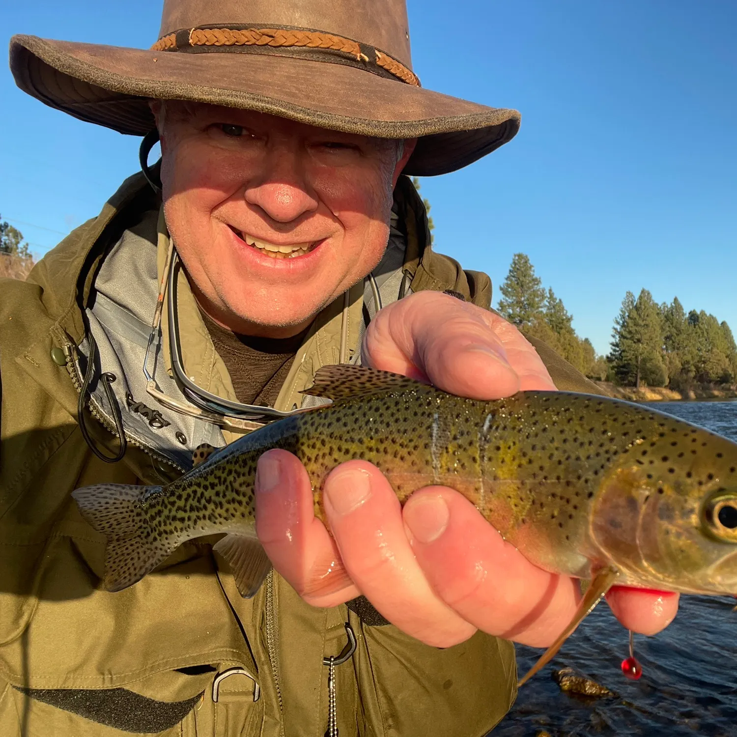 The most recent Westslope cutthroat trout catches on Fishbrain