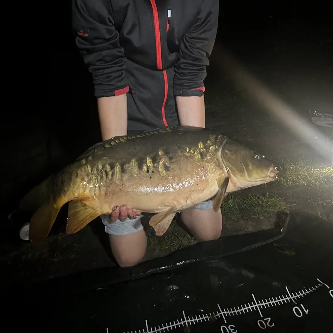 The most recent Mirror carp catches on Fishbrain
