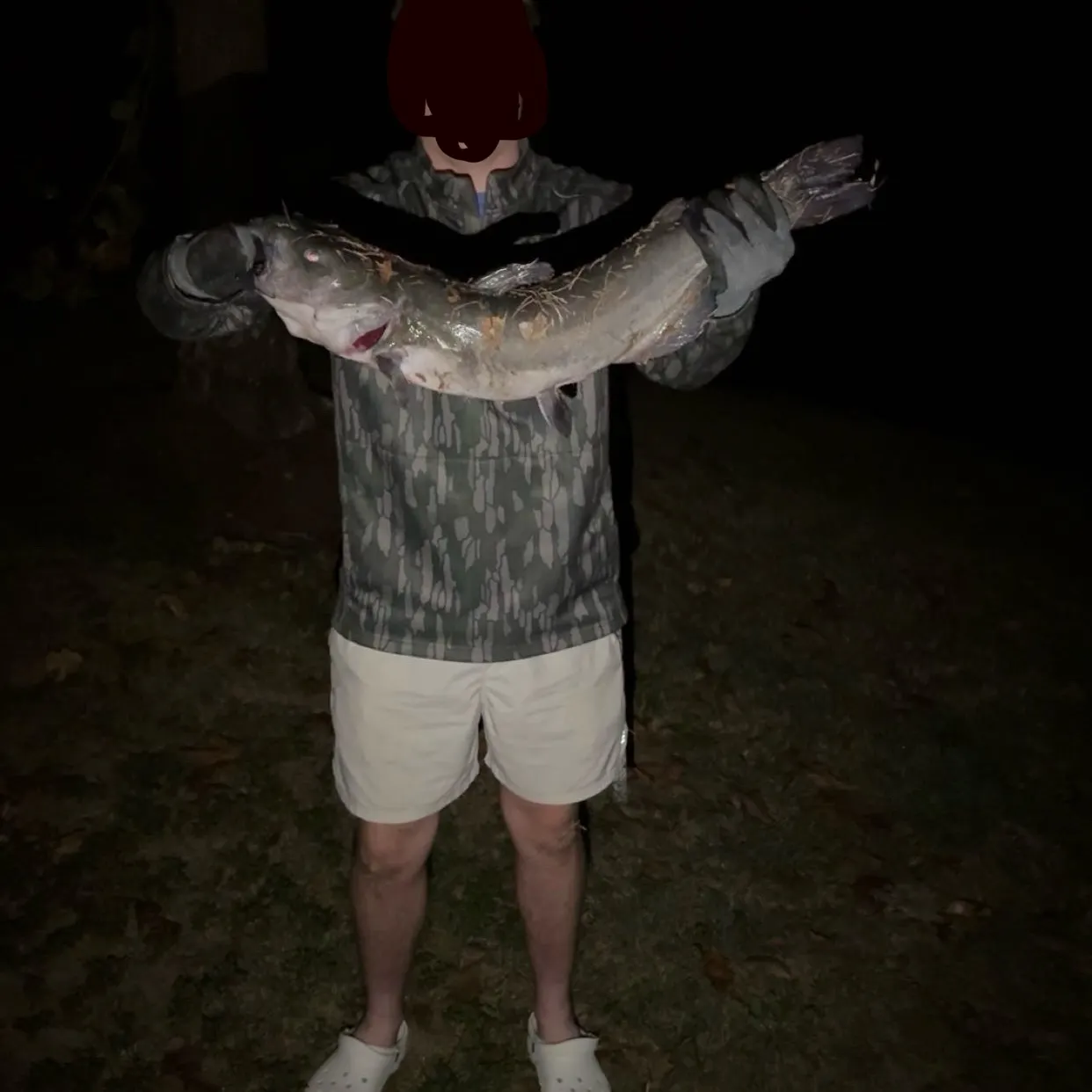 Channel catfish caught on Fishbrain