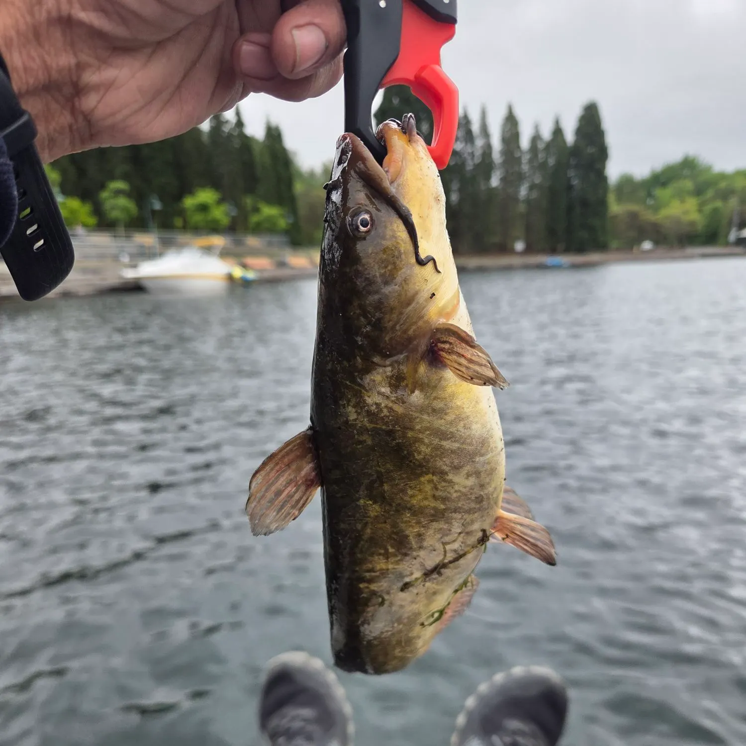 catch