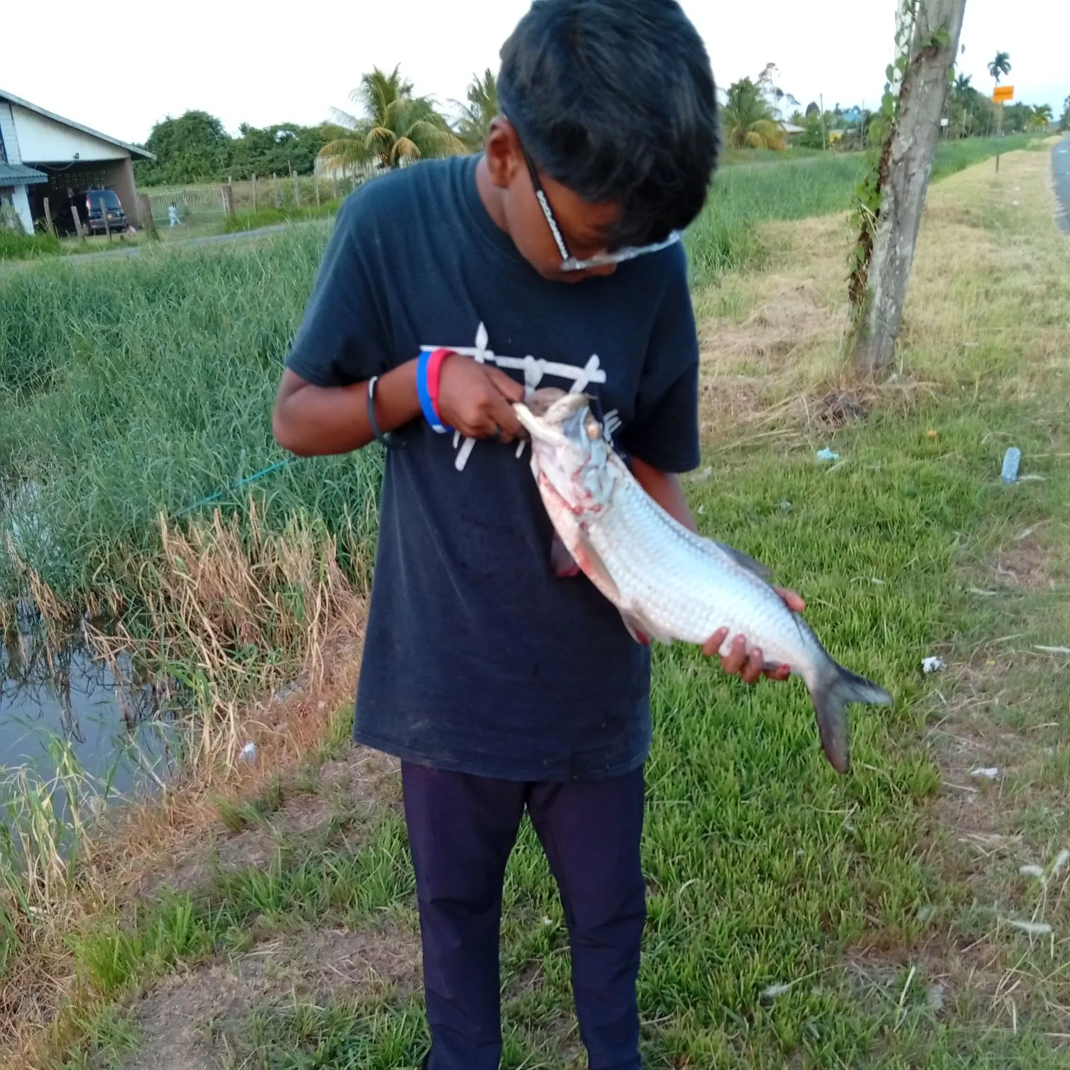 catch