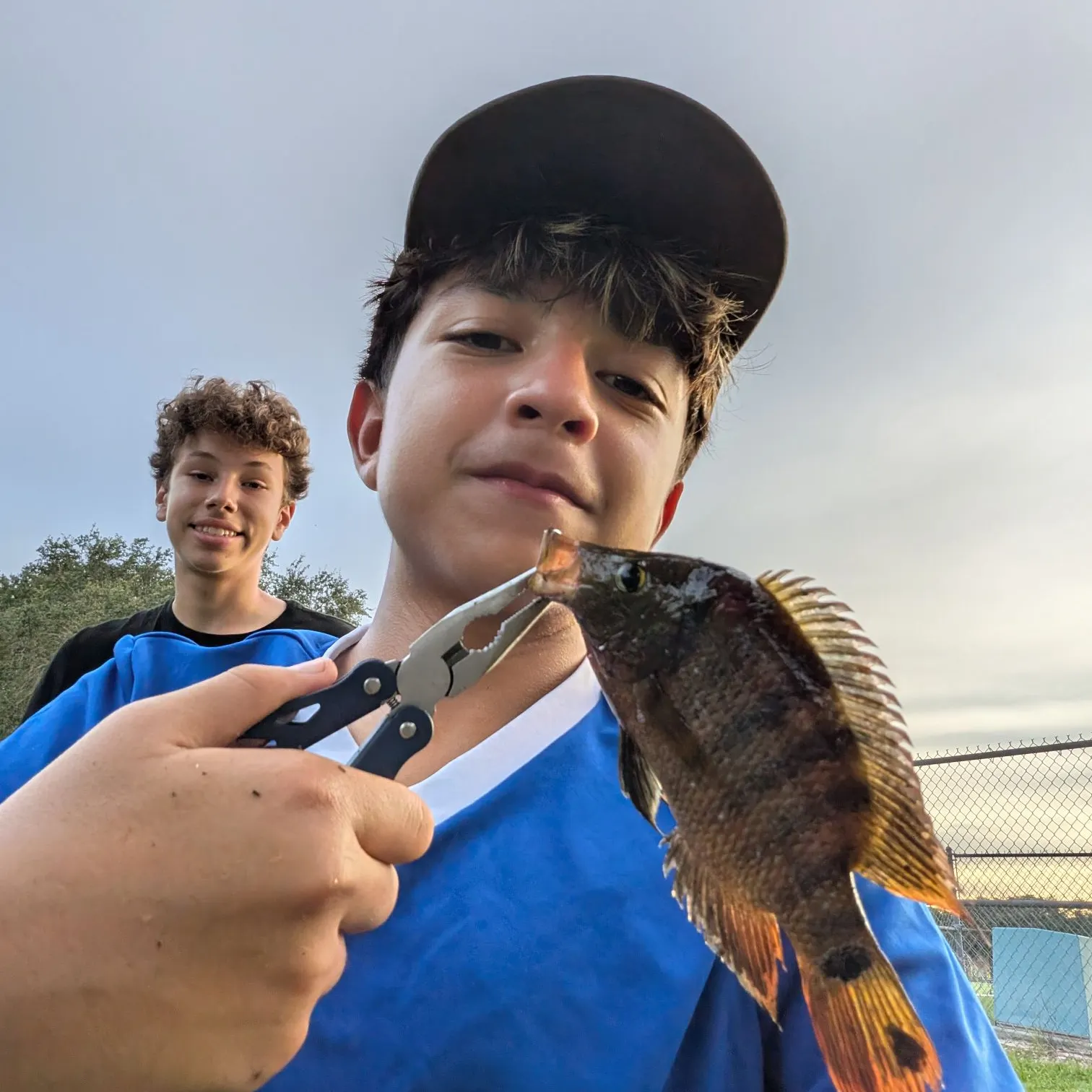 Mayan cichlid caught on Fishbrain