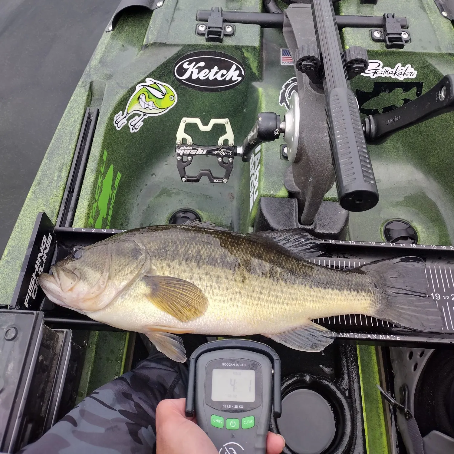 recently logged catches