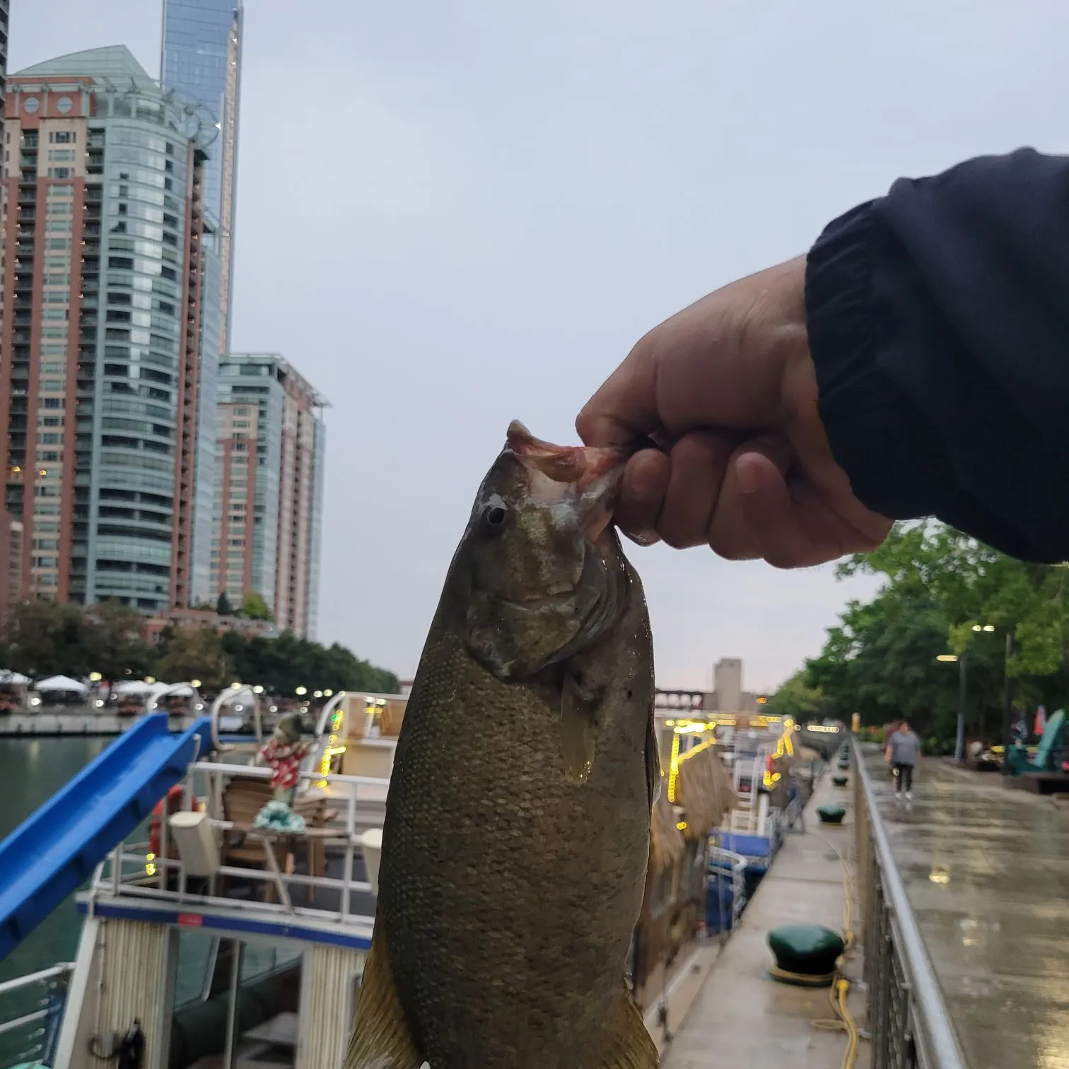 catch