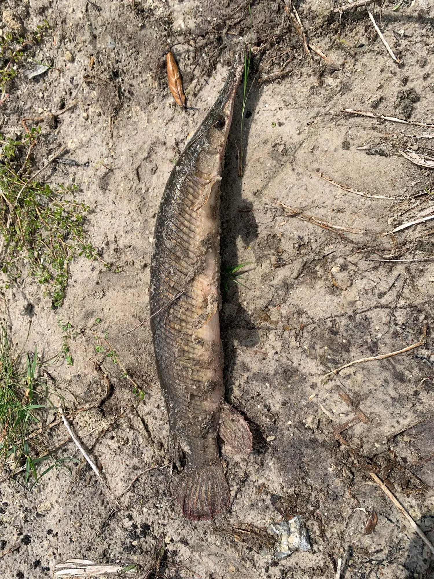 Post image from 239Zach