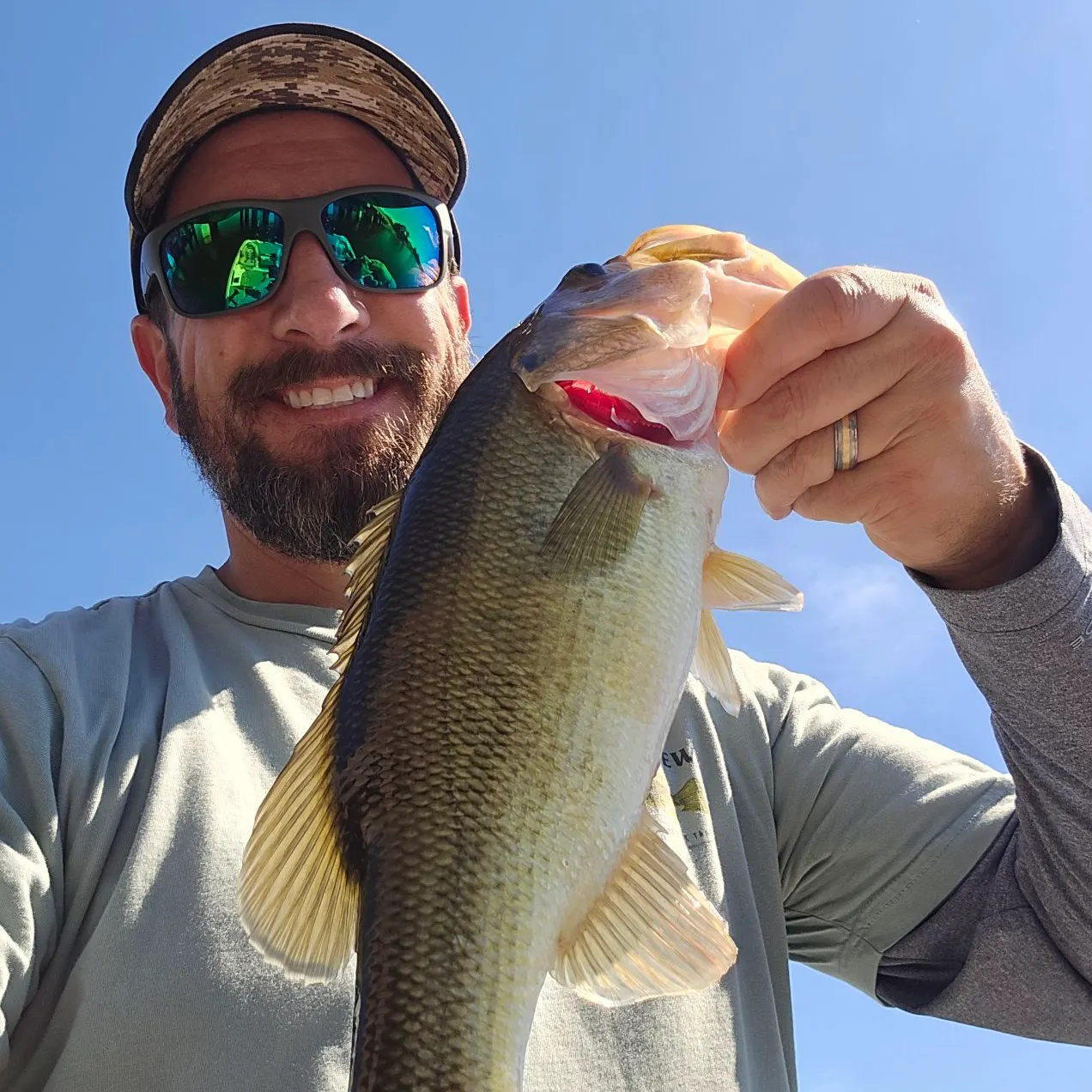 Largemouth bass caught on Fishbrain
