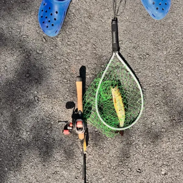 Brook trout caught on Fishbrain