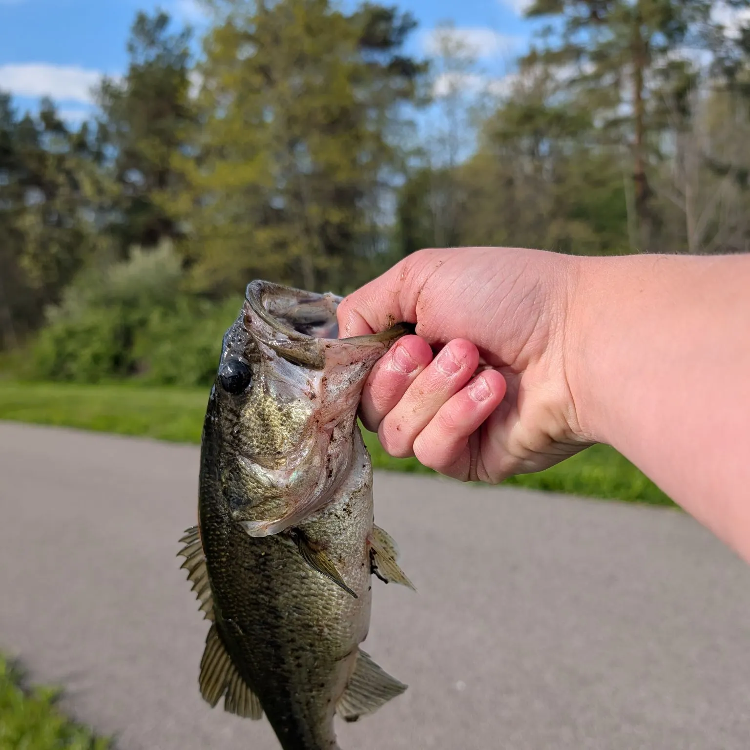 catch