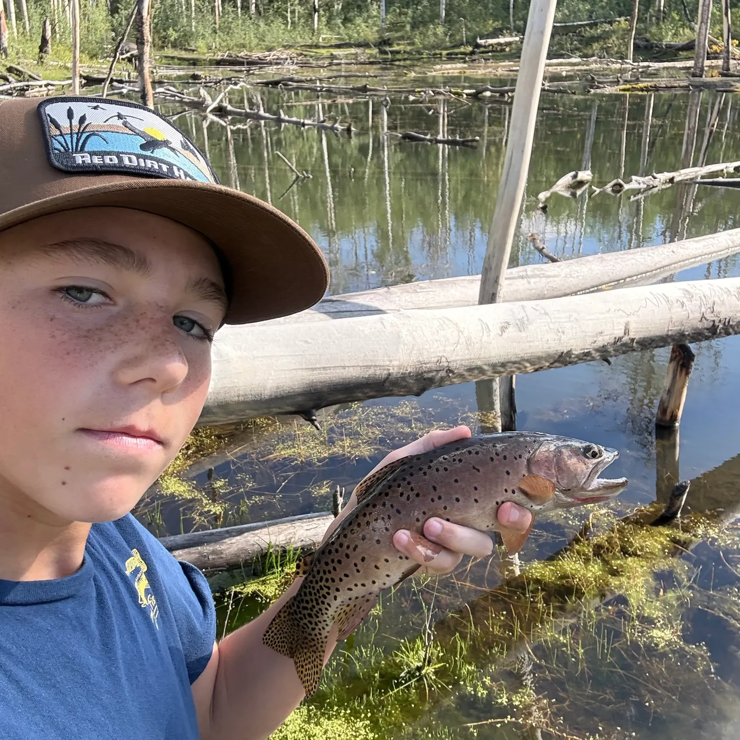 Cutthroat trout caught on Fishbrain
