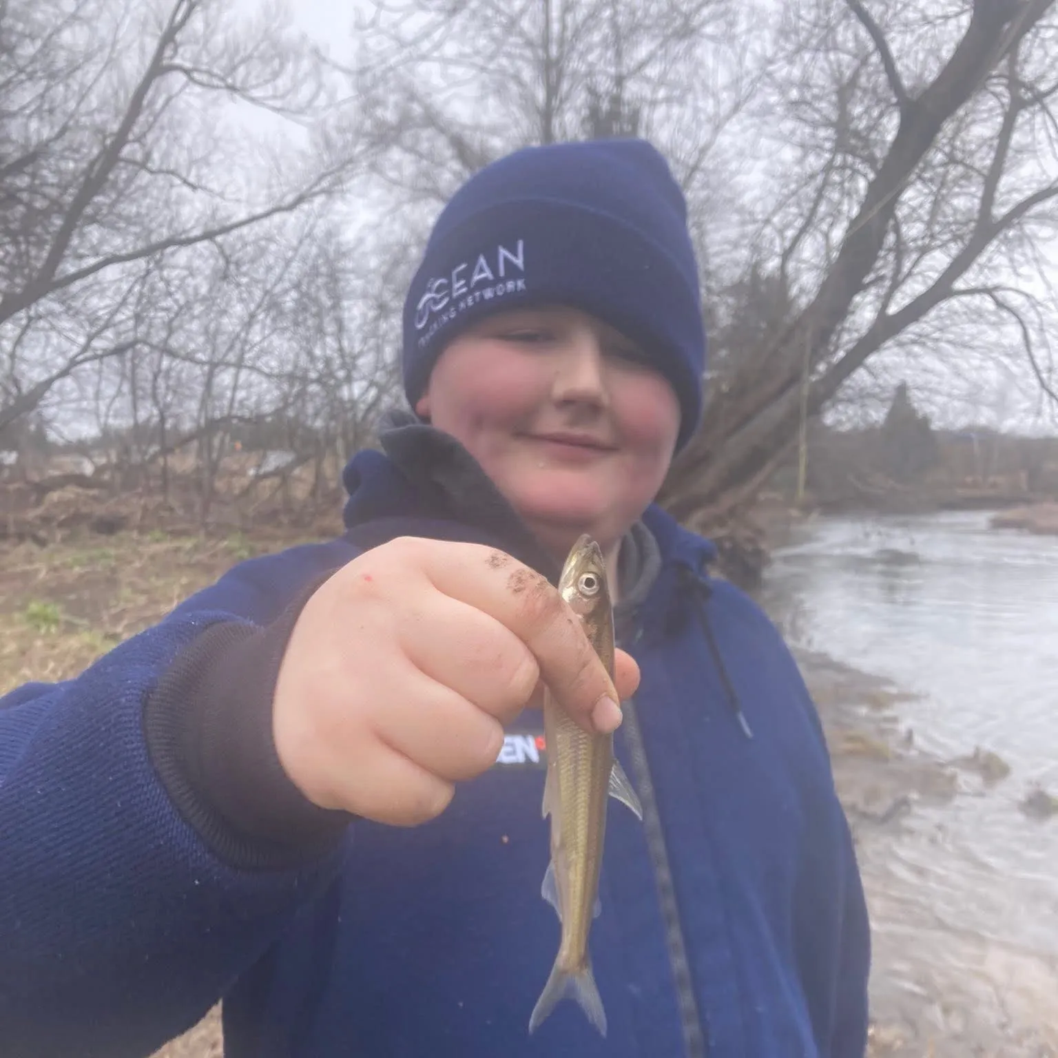 The most recent Surf smelt catches on Fishbrain