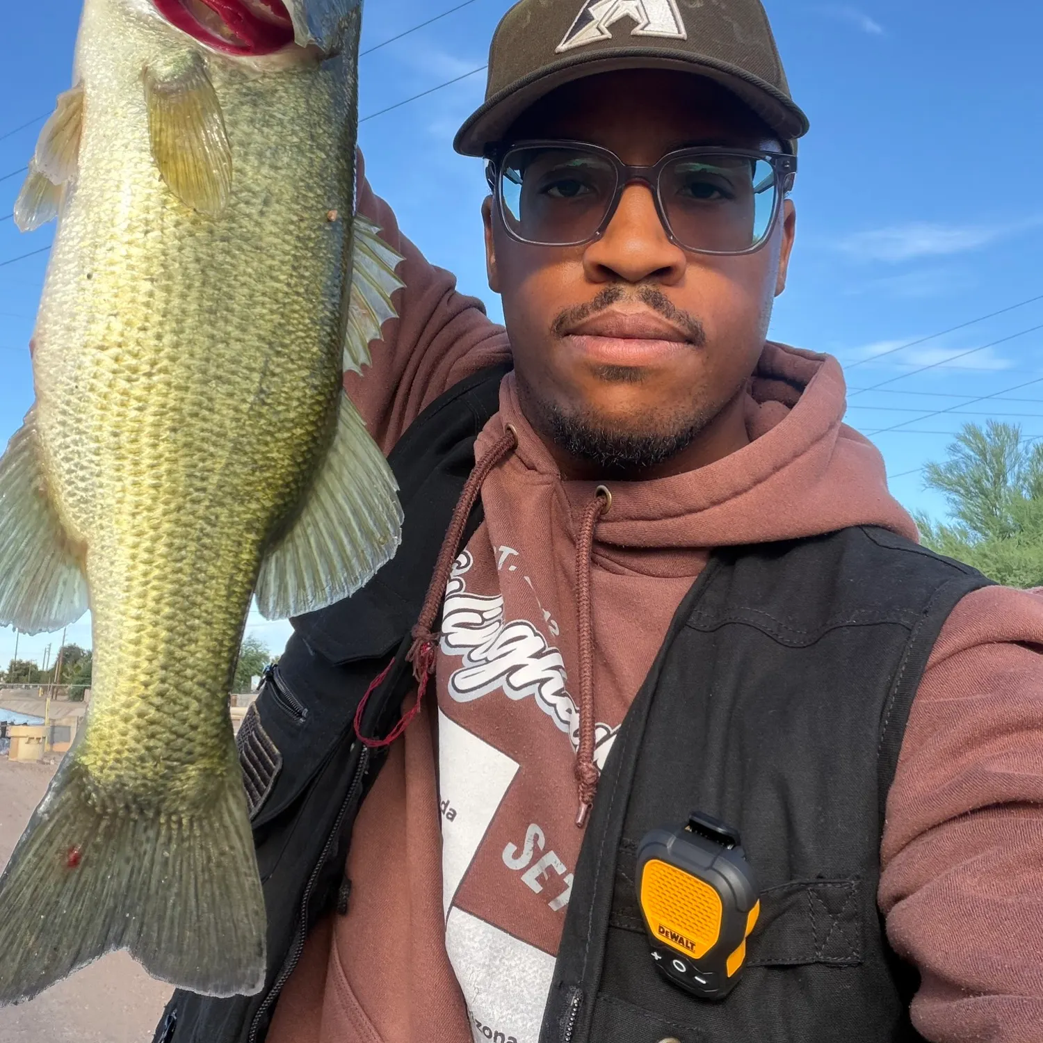 Largemouth bass caught on Fishbrain