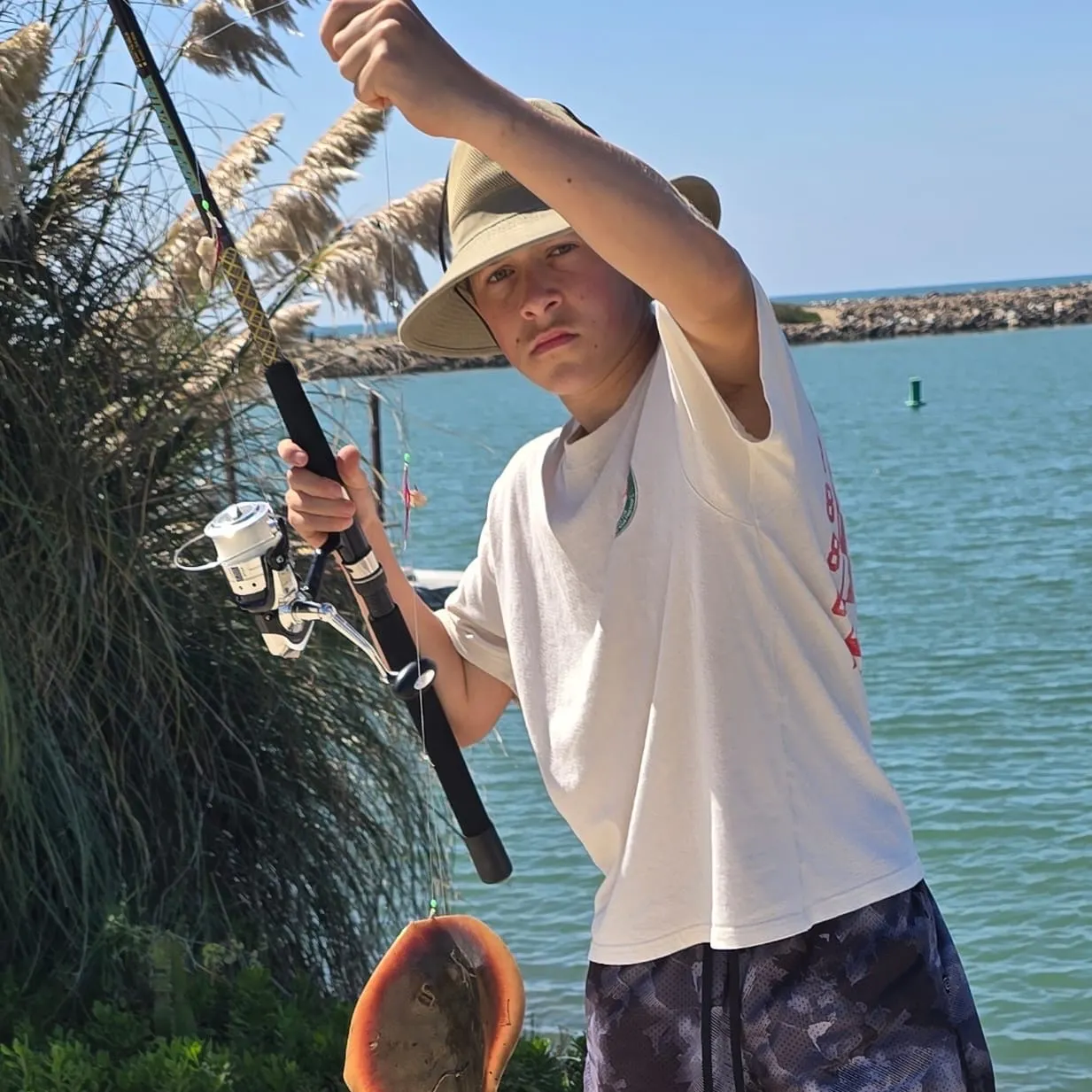 Haller's round ray caught on Fishbrain