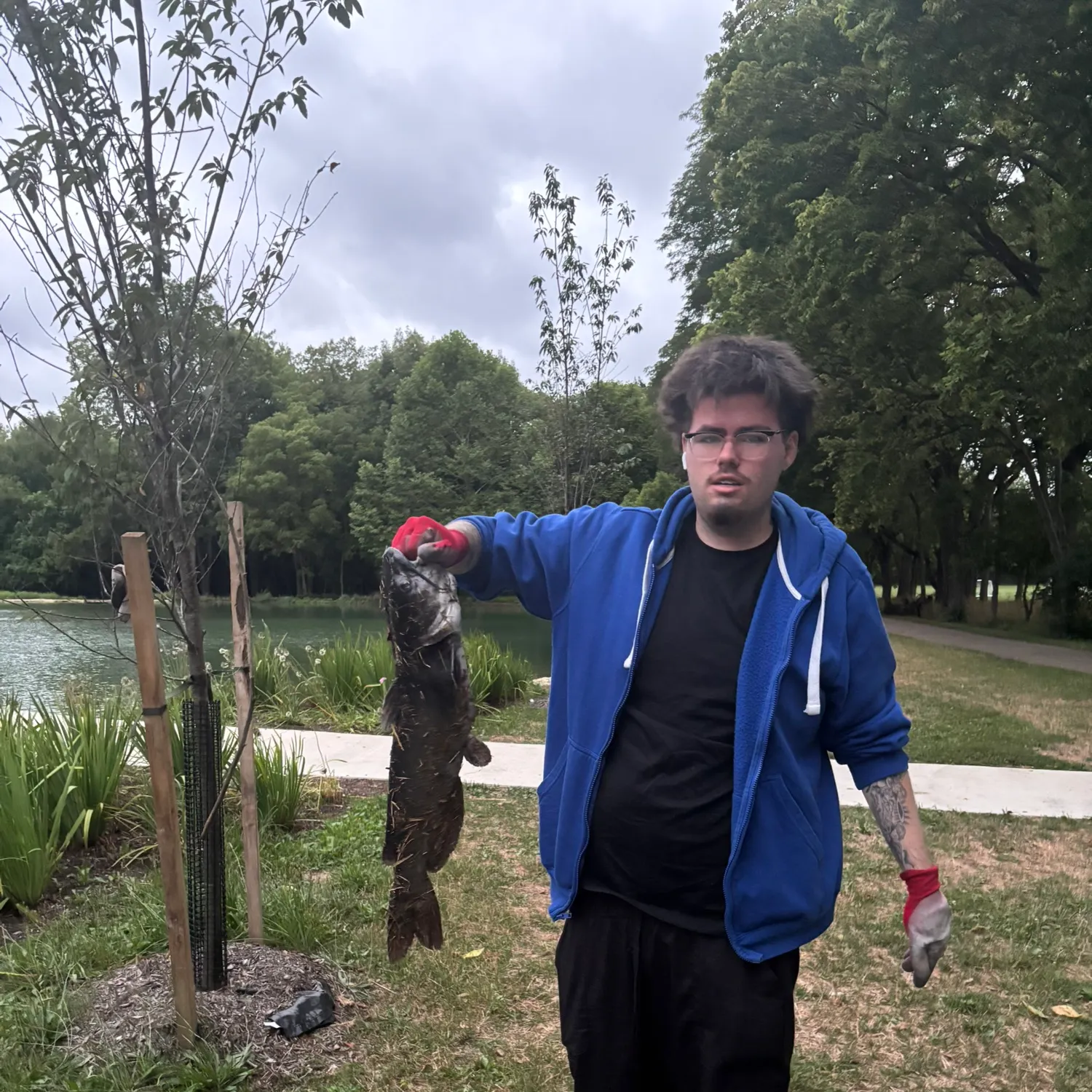 Channel catfish caught on Fishbrain