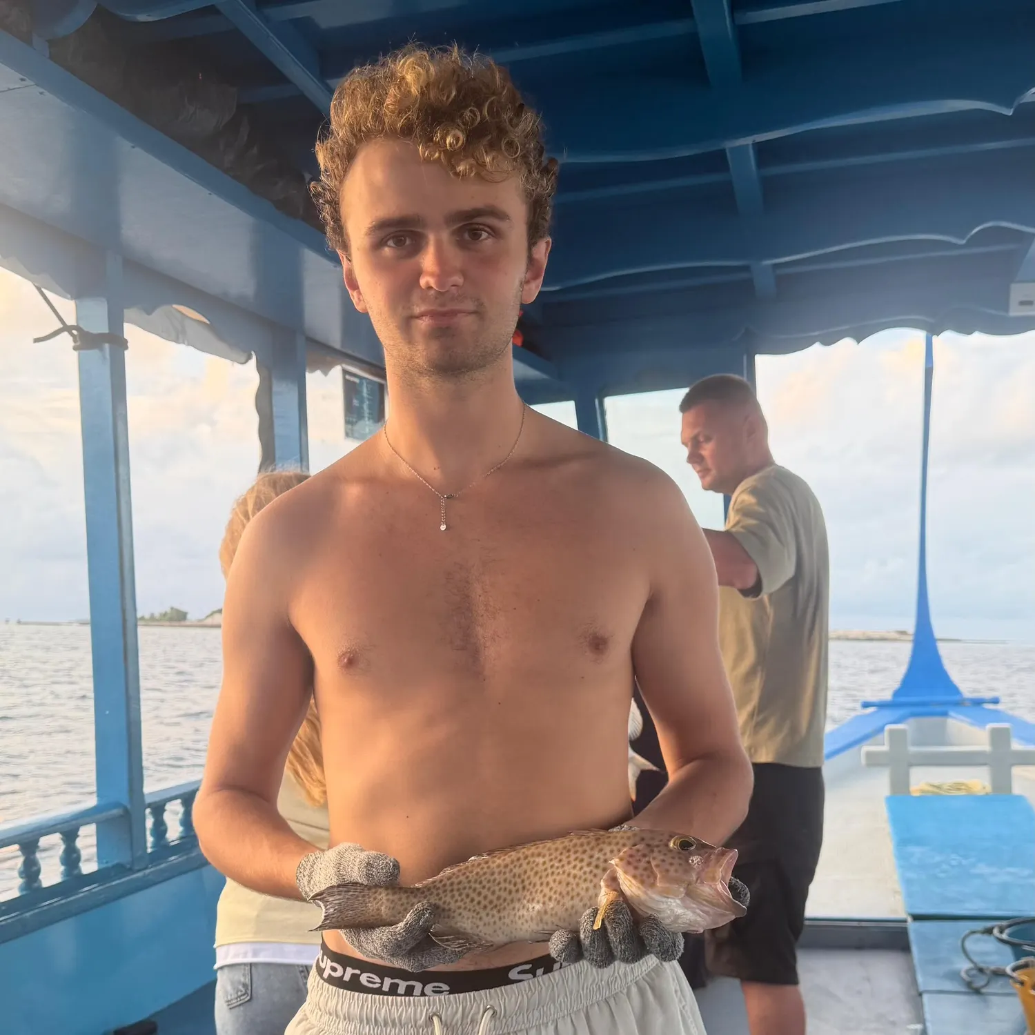 The most recent Greasy grouper catches on Fishbrain