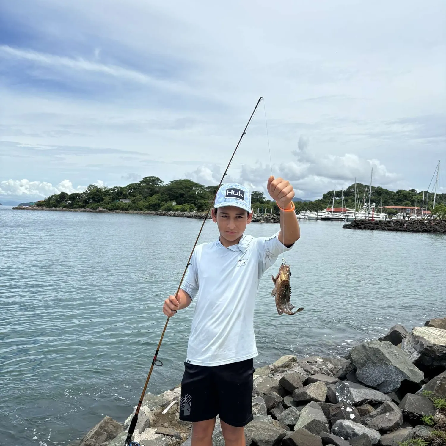 The most recent Spotted grouper catches on Fishbrain