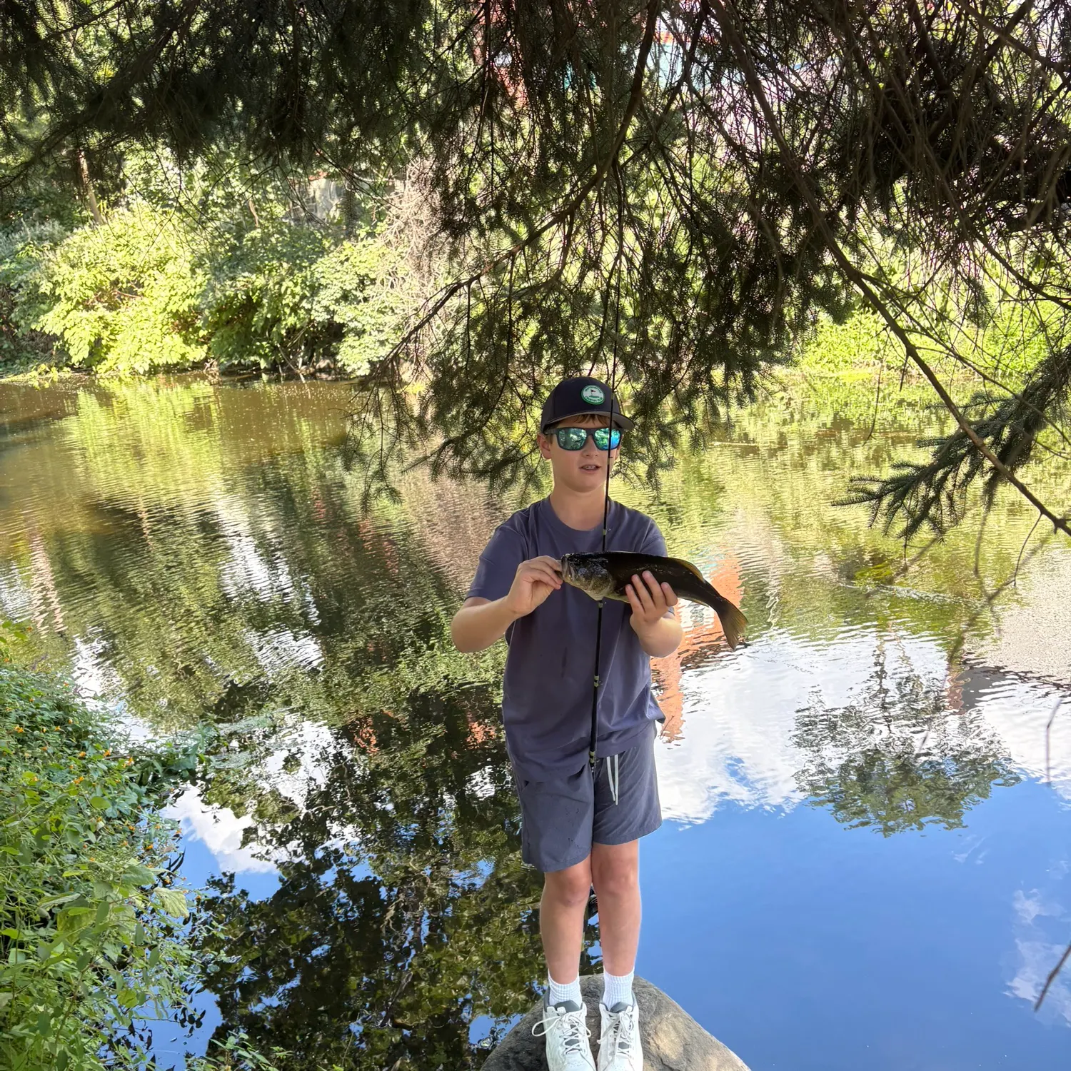 Largemouth bass caught on Fishbrain