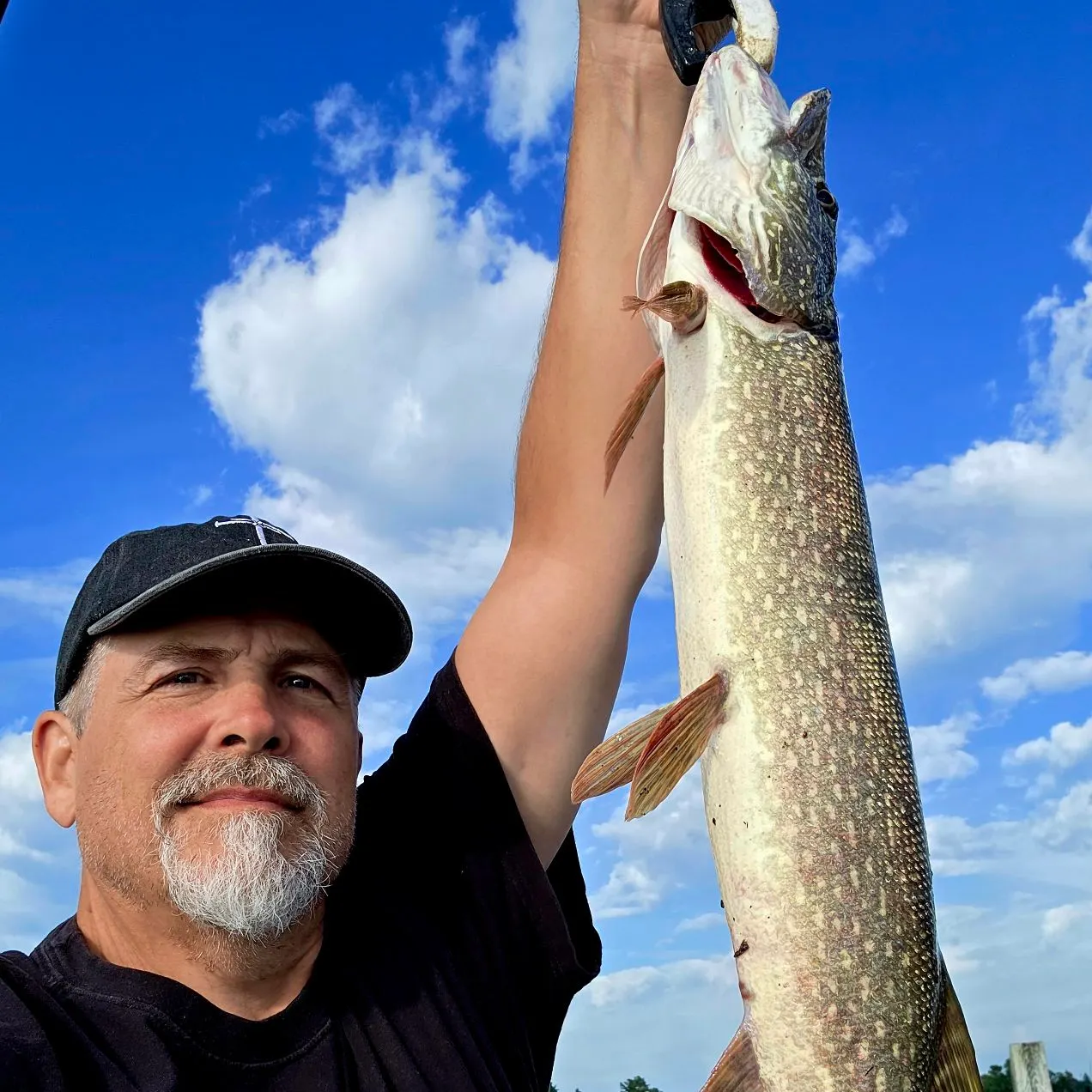 Northern pike caught on Fishbrain